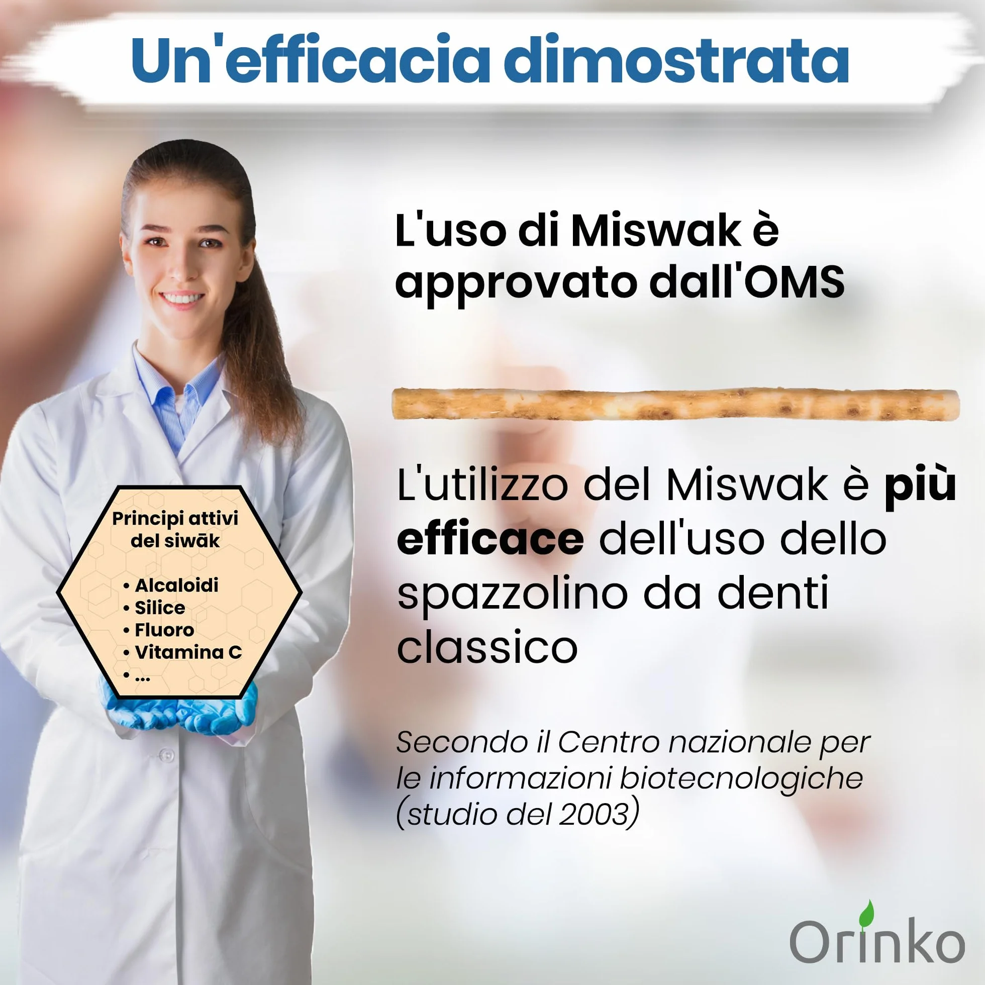 ORINKO Siwak per Denti Naturale x2 - Spazzolino Ecologico per Pulizia e Sbiancamento Denti - Miswak Africano