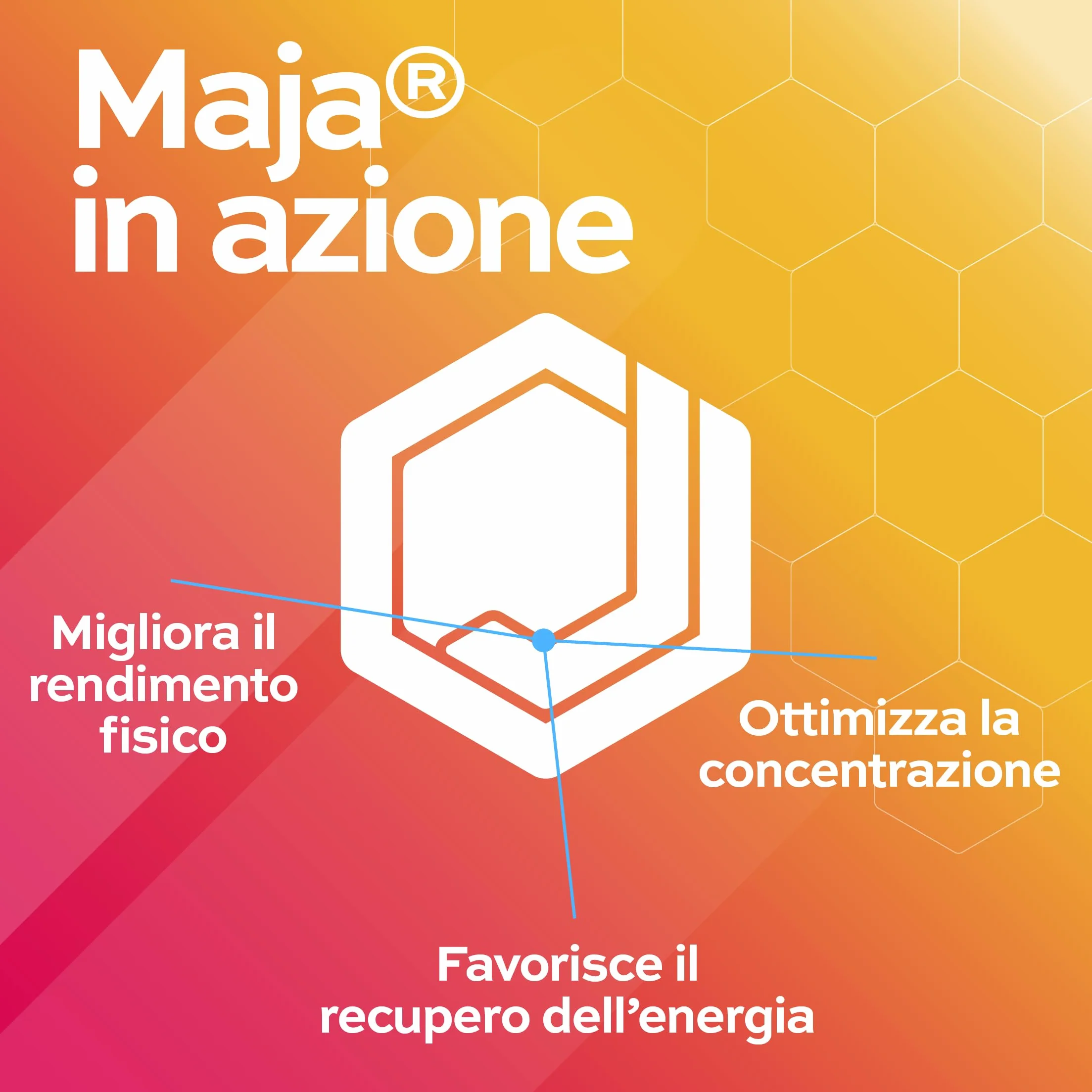 MAJA Pappa Reale Integratore Ricostituente Energia Fisica e Mentale con Echinacea Miele di Acacia Ginseng Sanbuco Arginina 10 Flaconi Made in Italy