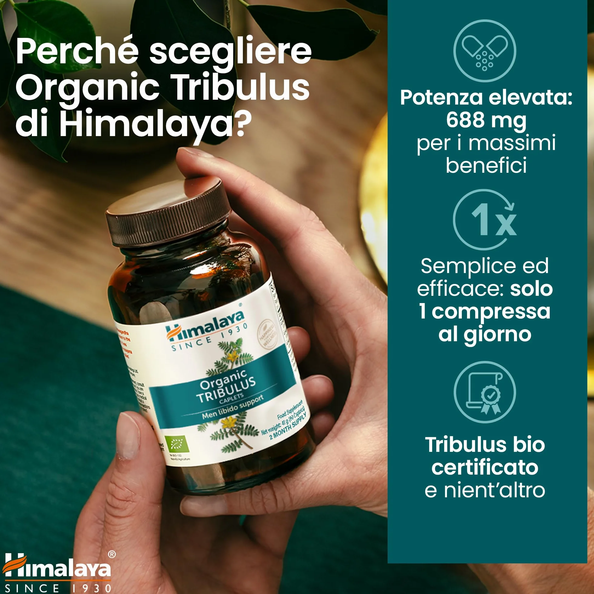 Himalaya Tribulus organico Gokshura 688 mg 60 capsule salute maschile libido supporto urinario