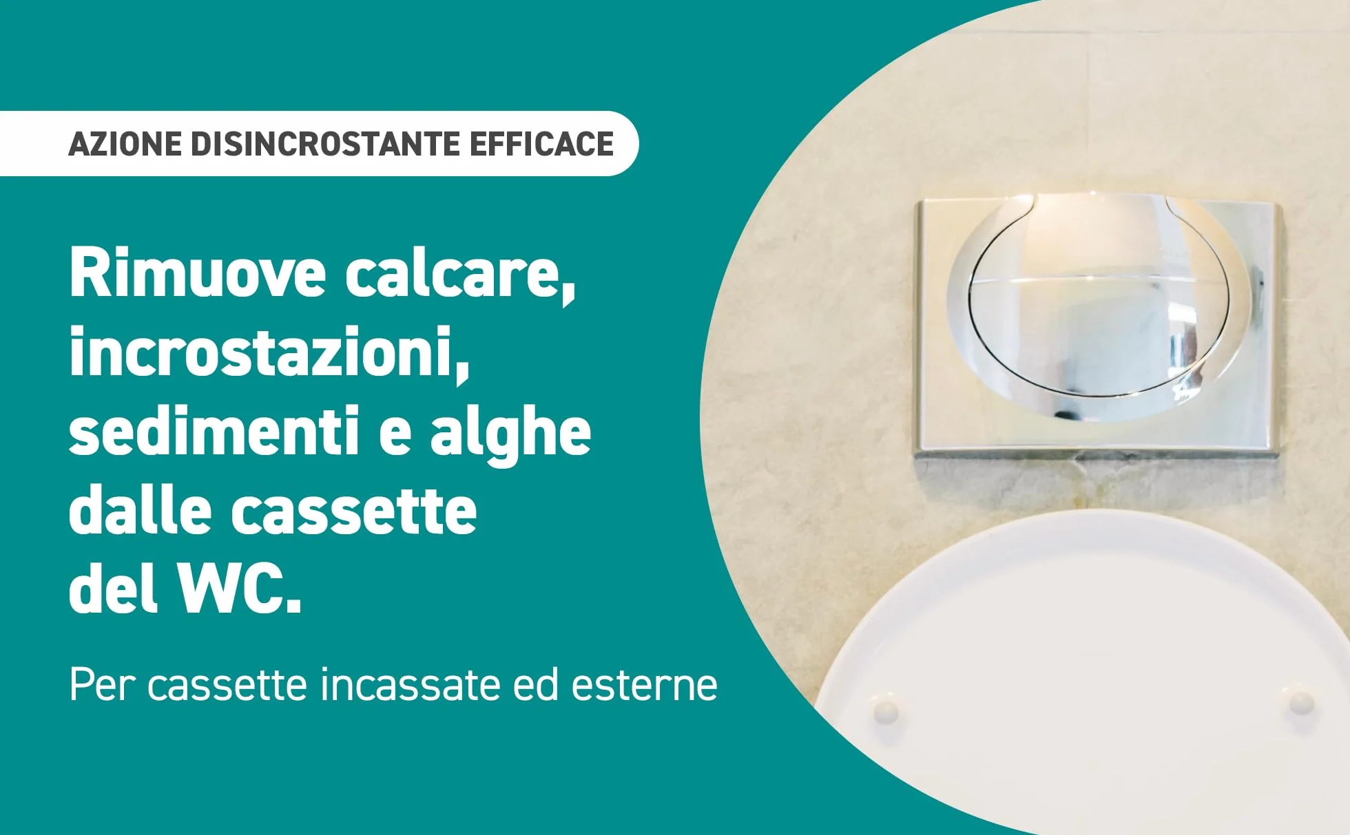 Disincrostante Anticalcare CalcOut per Cassetta WC, Effetto Rapido, Sicuro per Plastiche e Gomme, 1L