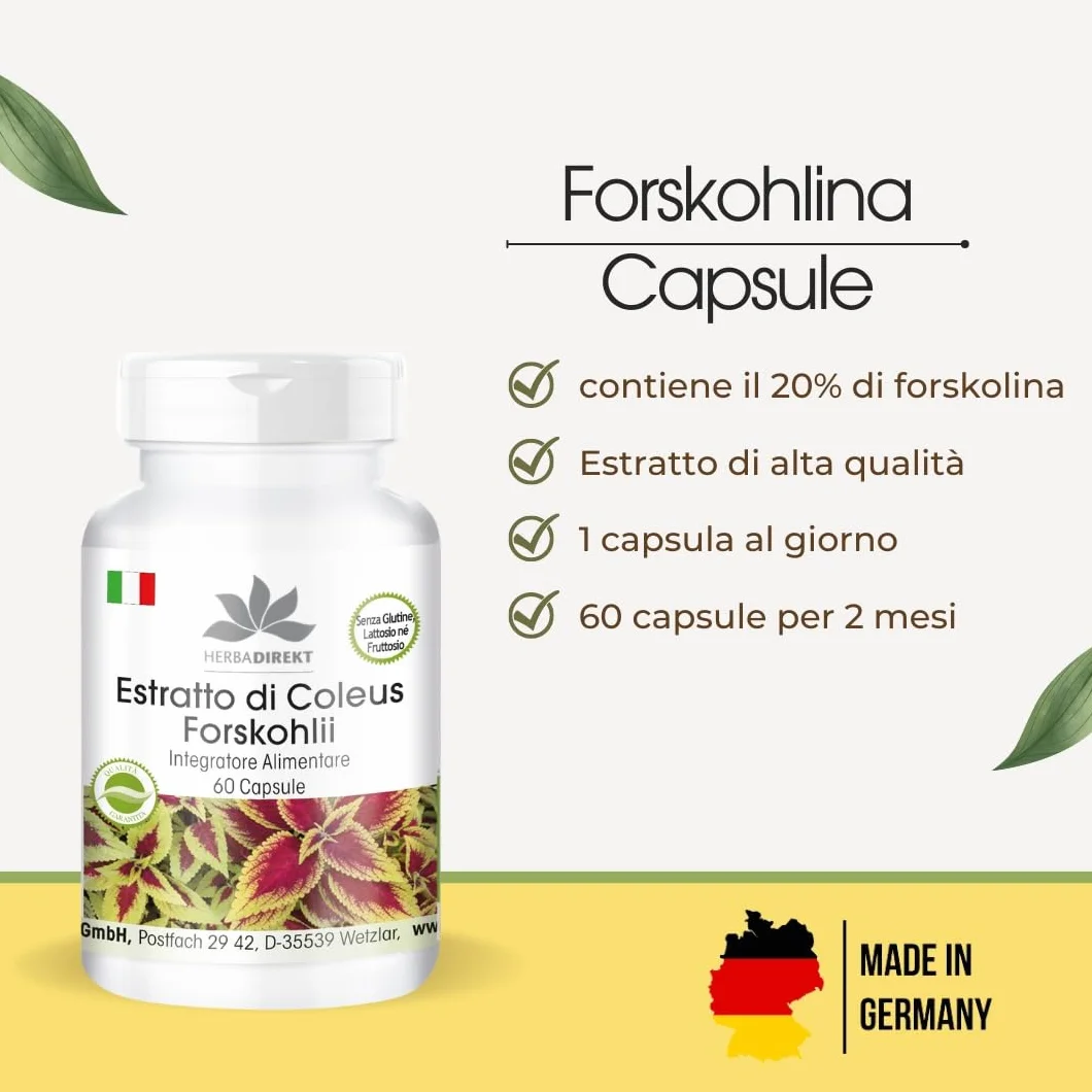 Coleus Forskohlina Integratore 10mg Forskolin 60 Capsule HERBADIREKT Warnke Vitalstoffe