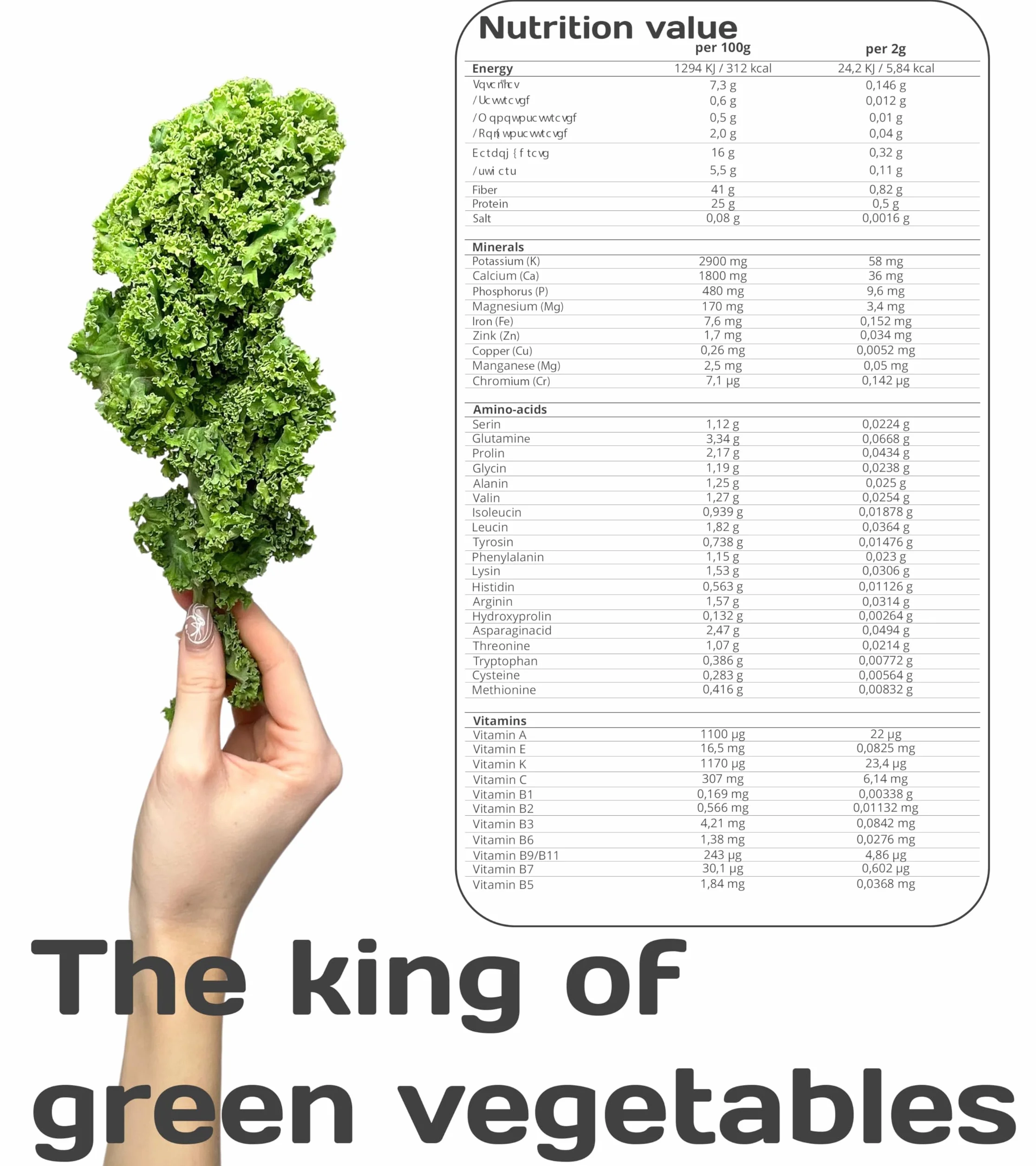 Pure Superfood Bioactive Kale Powder - Cavolo Liofilizzato, Alto Contenuto di Proteine, Kalzium, Vitamina C e K, 25 x 2g