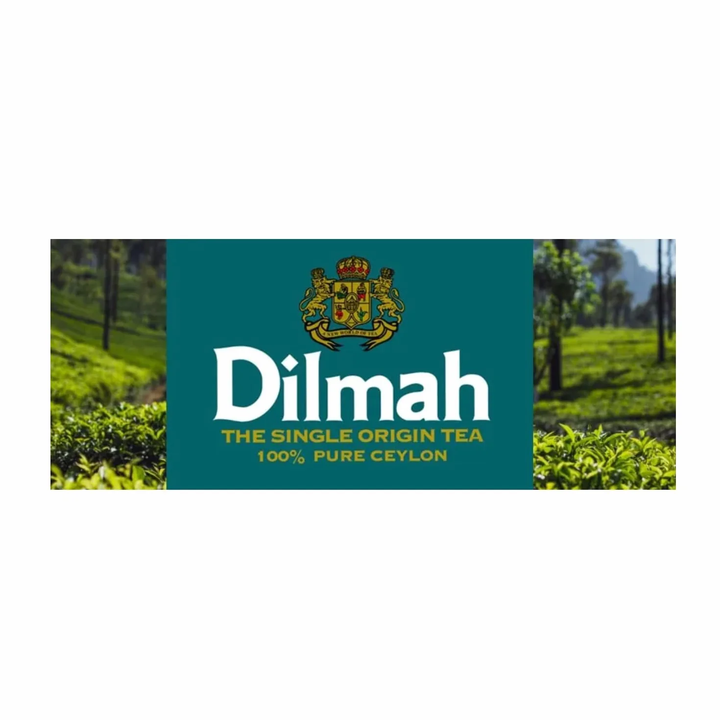Dilmah® | Puro Tè Verde e Menta Marocchina | Tè Verde Ceylon e Foglie Menta Piperita - 20 Bustine di Tè (30 Gr)