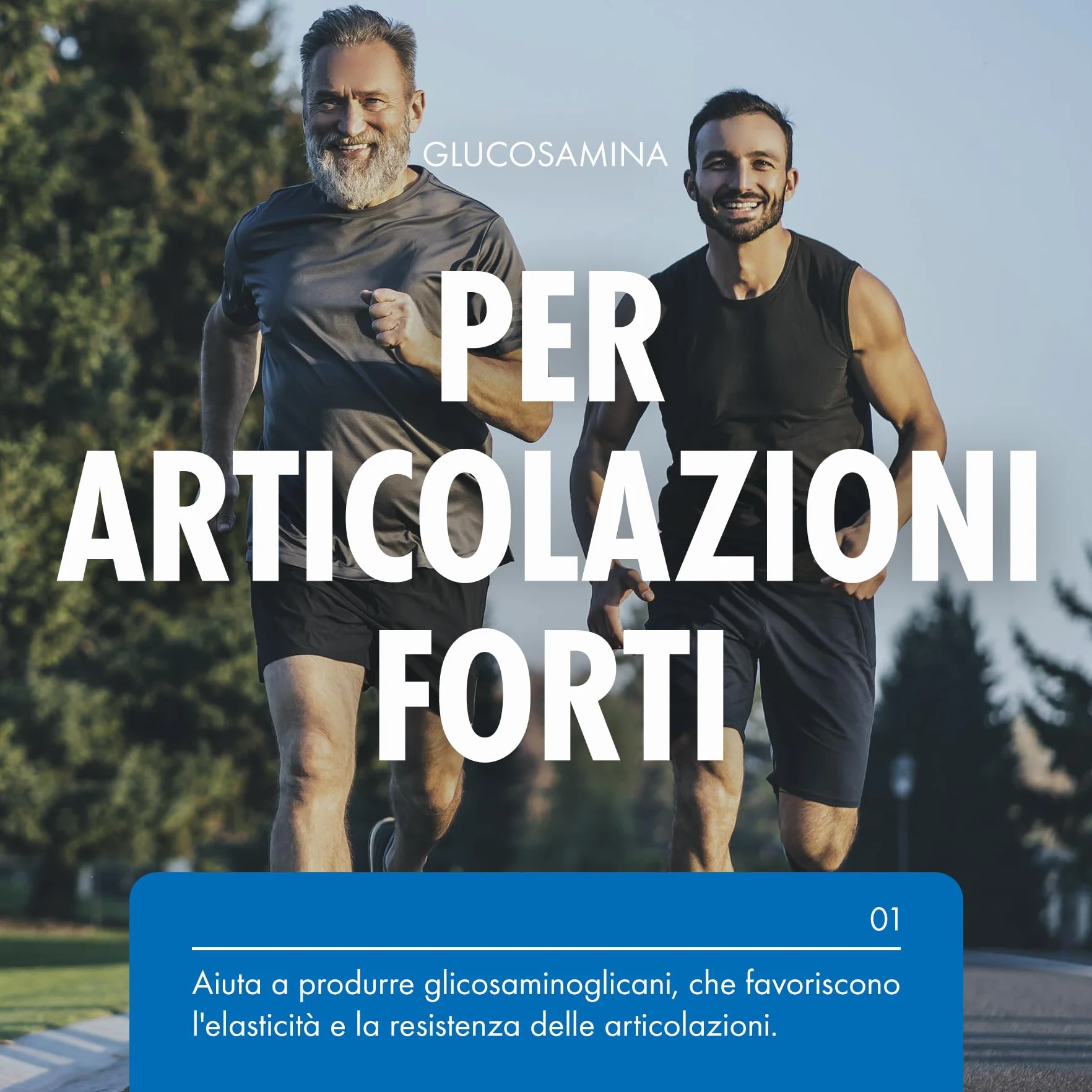 Incite Nutrition Complesso ad alta resistenza con glucosamina e condroitina con MSM, vitamina C, zenzero, rosa canina - Integratori per la cura delle articolazioni, 120 pezzi (confezione da 1)