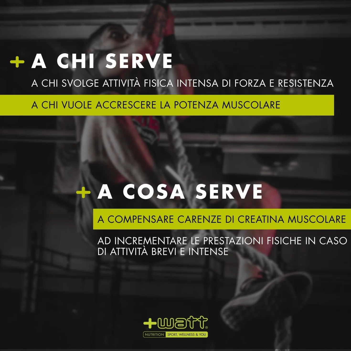 Creatina+ Compresse Extragold 100 cpr - Incrementa le Prestazioni Fisiche