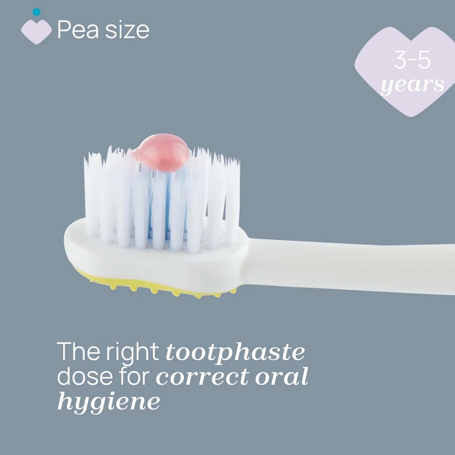 Chicco Set 2 Spazzolini da Denti per Bambini con Ventosa, Testina Arrotondata, Setole Morbide Delicate su Gengive e Dentini, Ampio Manico Antiscivolo, Coprisetole Incluso, 3-6 Anni, 2 Pezzi, Bimbo