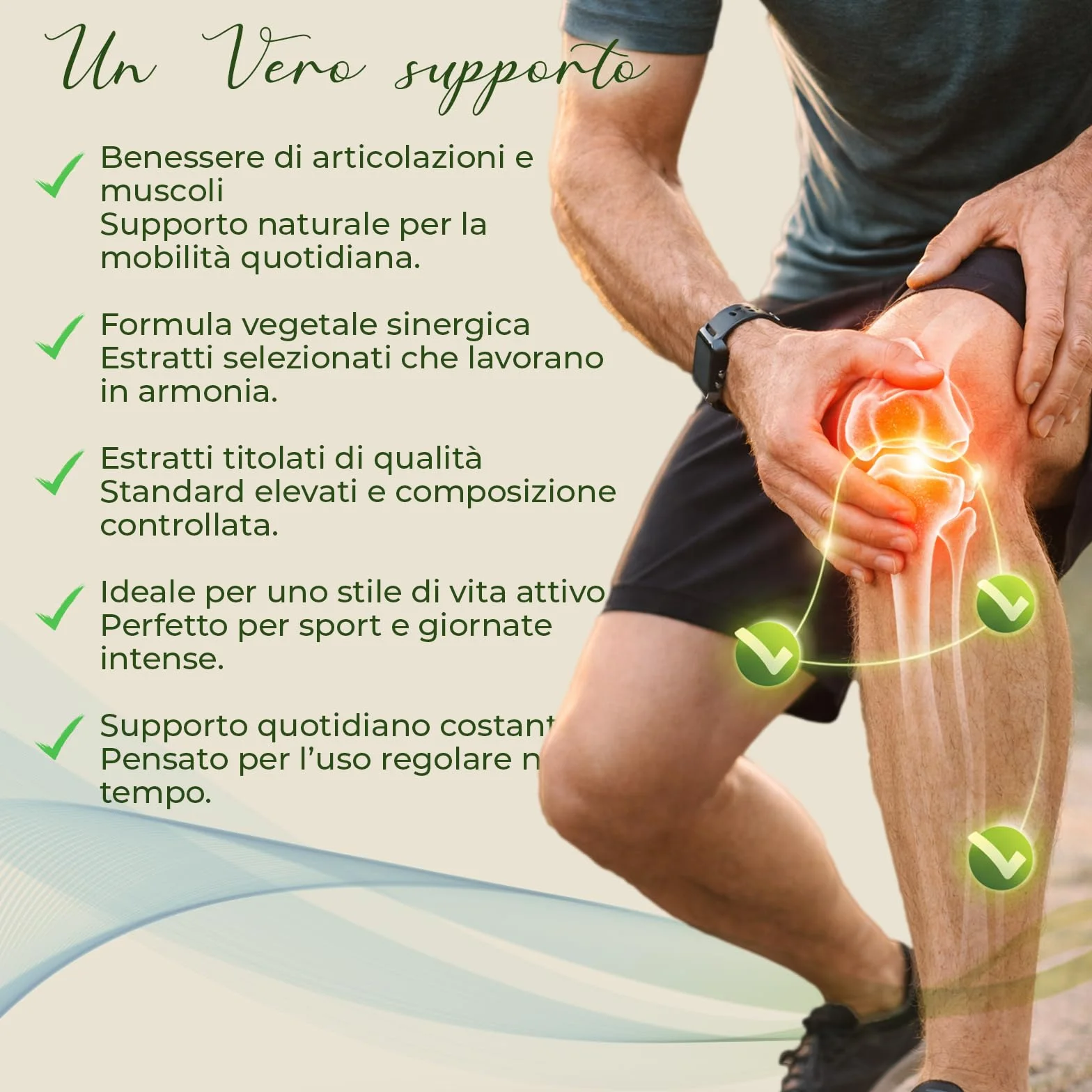 AP PLUS ARTROLIFE Integratore Alimentare per Articolazioni, Supporto Mobilità, Stress Ossidativo, Astragalus, Boswellia, Curcuma, Artiglio del Diavolo, 90 Compresse