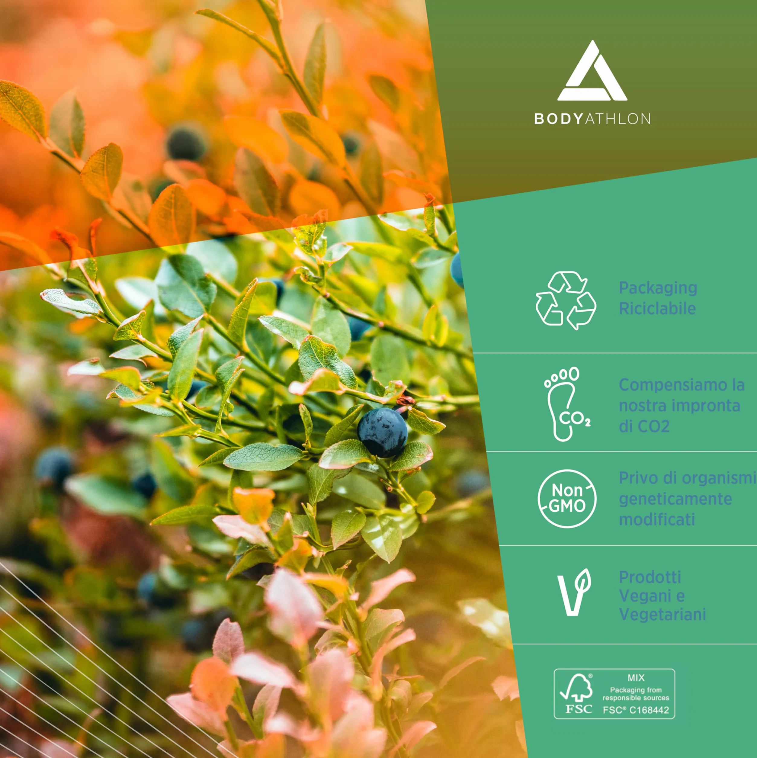 500g Creatina Creapure Polvere|Creatina Monoidrata Per Allenamento| Aumenta massa muscolare, forza e resistenza| Creatine Senza Glutine Fine, Solubile|+Dosatore, Vegan|Creatine Monohydrate|Bodyathlon