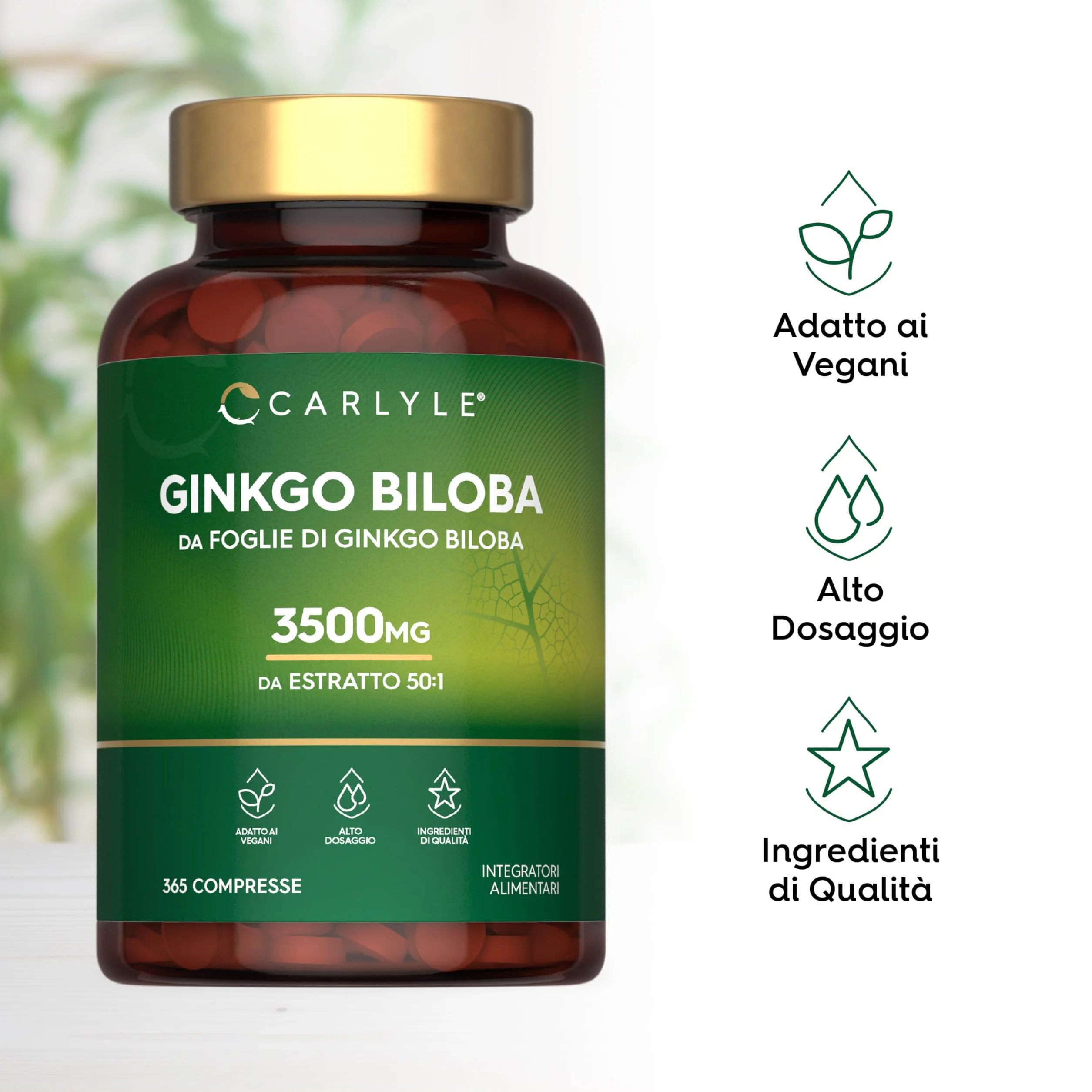 Ginkgo Biloba 3500mg | 365 Compresse | Capsule di estratto di Ginkgo | Fornitura per 1 anno | Alto Dossagio | Carlyle