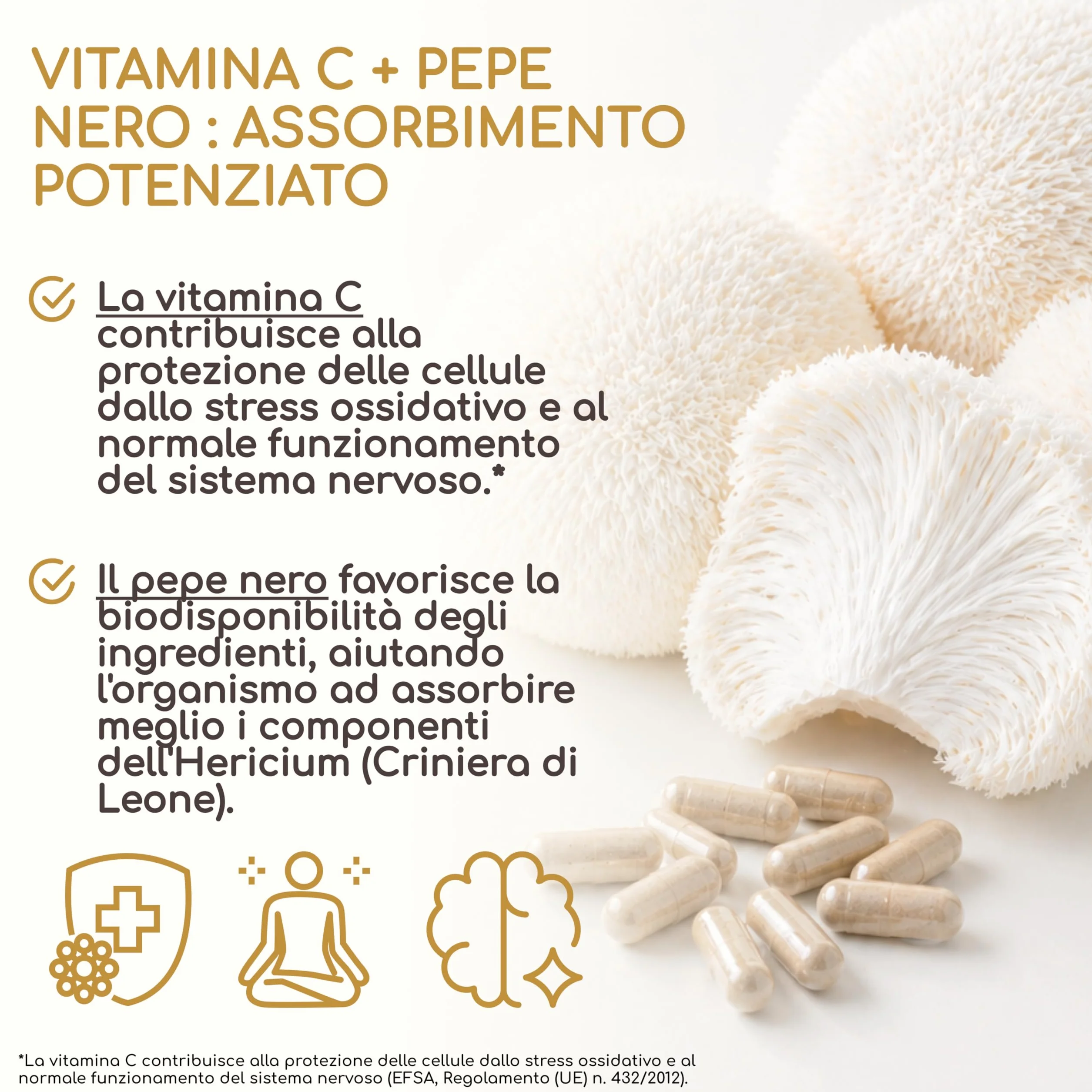 Lions Mane 58.500 mg (Estratto 30:1) Capsule - Per il Cervello, il Benessere e l’Umore - Hericium Erinaceus, Vitamina C e Pepe Nero - 30% Polisaccaridi, 5% Beta-Glucani - Raibu