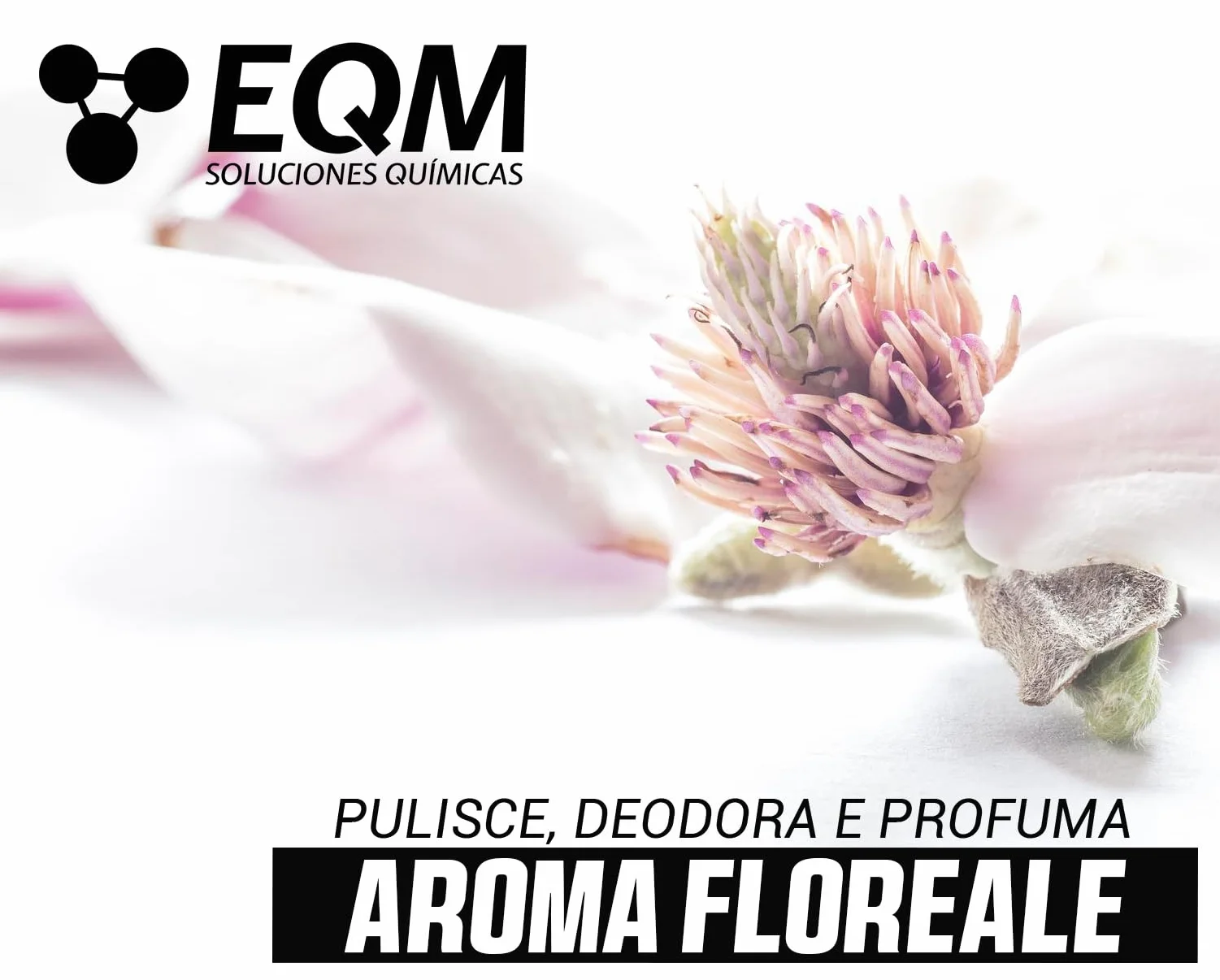 Detergente per Superfici Multiple ECO-202 5L Alta Capacità Sgrassante Deodorante Aroma Floreale