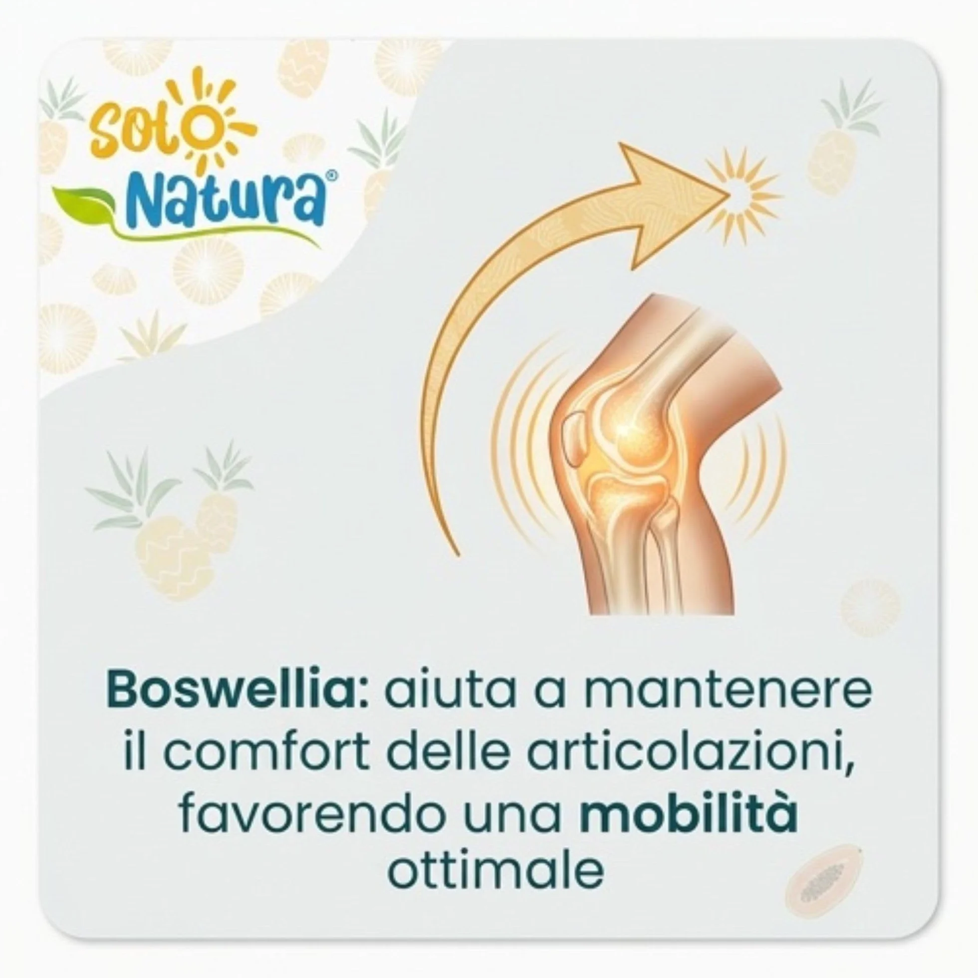Solo Natura AFLOGIS – Integratore di Boswellia Serrata e Bromelina da Ananas. Supporto per Articolazioni e Funzionalità del Microcircolo, 60 Compresse da 500 mg