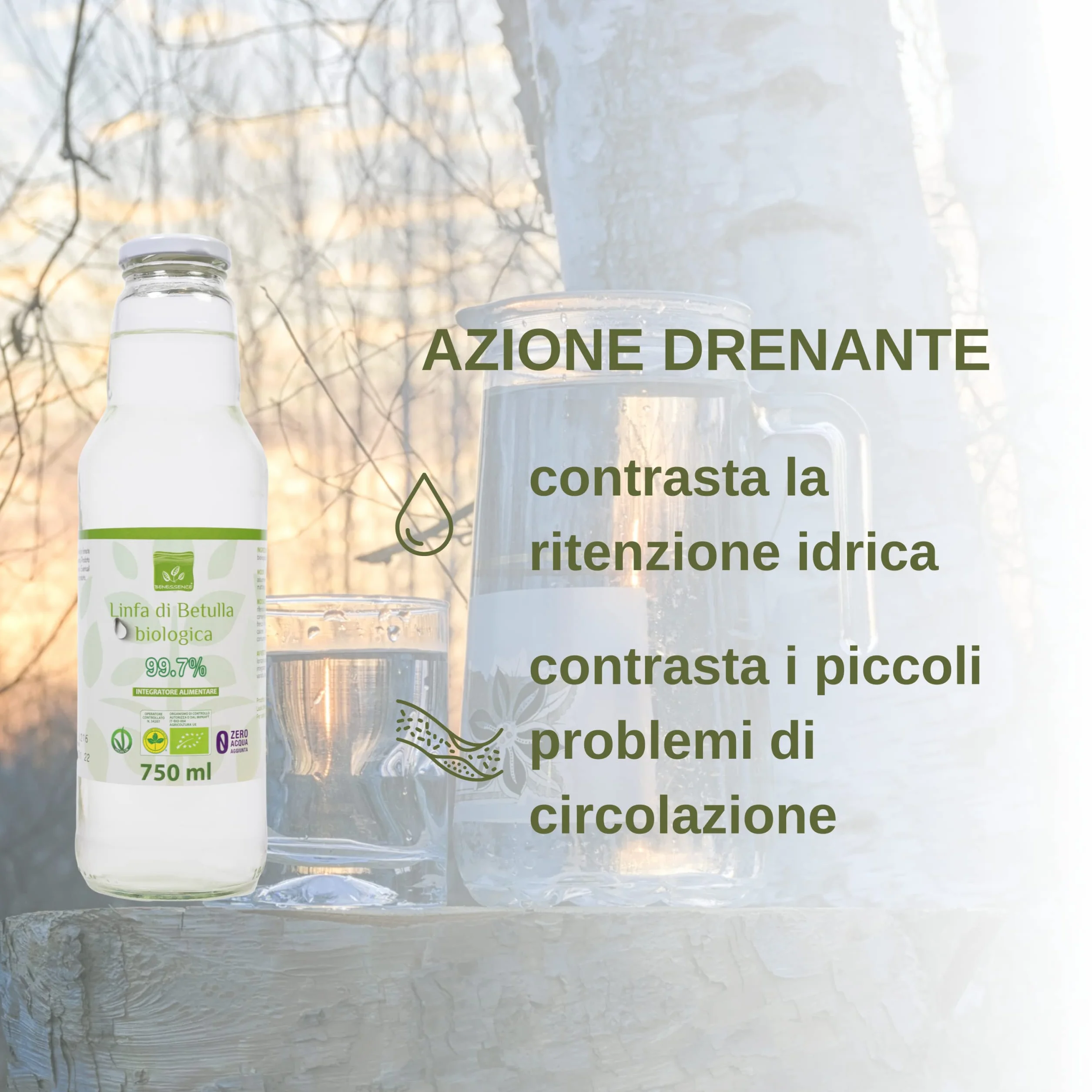 Benessence Linfa di Betulla Biologica 750ml 3 bottiglie Detox Drenante