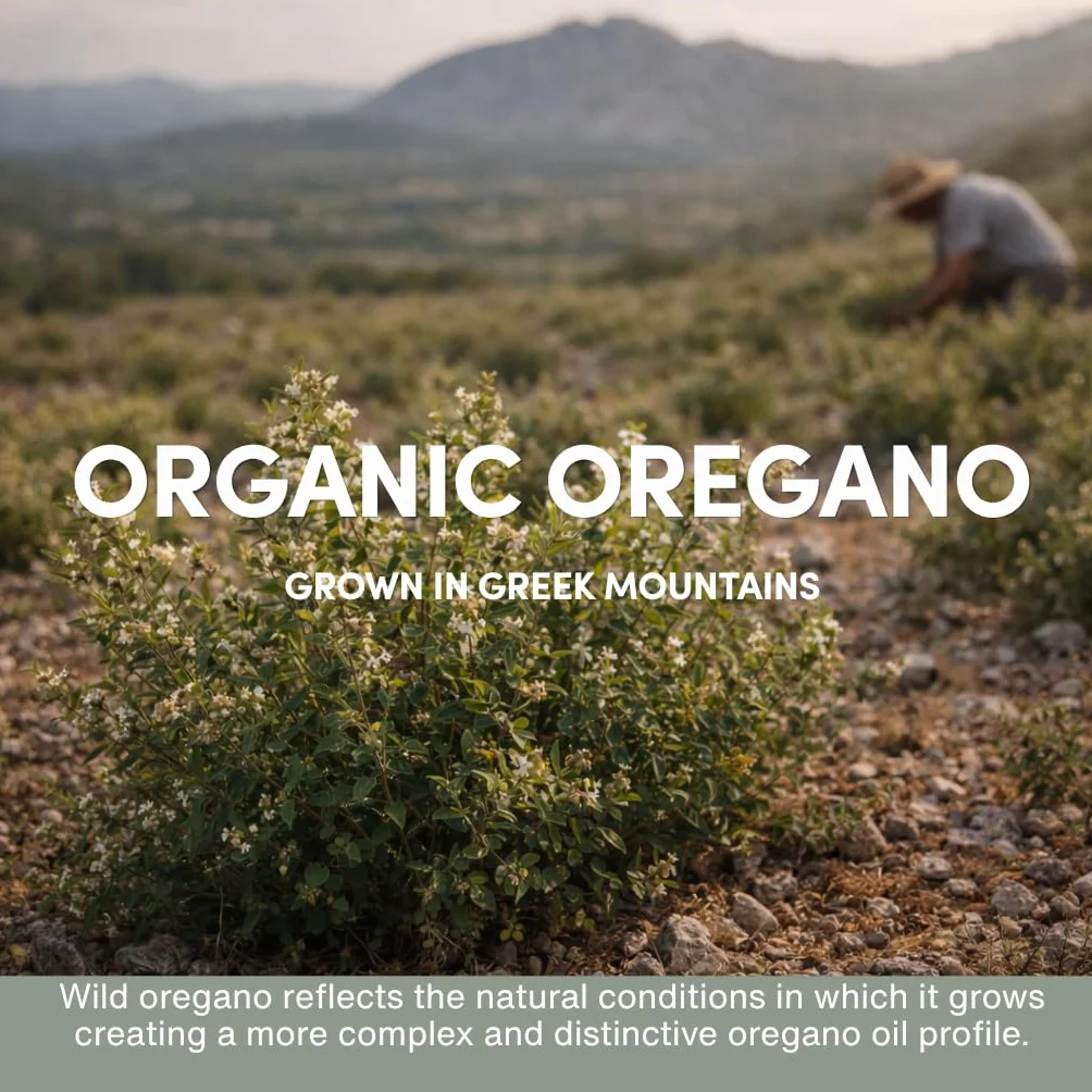 Olio Selvatico Vegano di Origano Capsule Biologico 86-90% Carvacrolo 60 Capsule