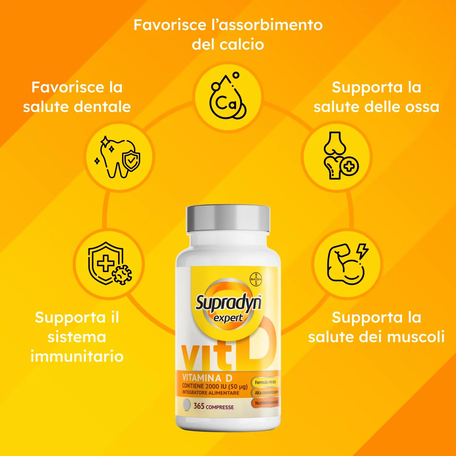 Supradyn Expert Vitamina D3 2000 UI (50 μg) - 365 compresse per 1 anno - Integratore di vitamina D ad alto dosaggio - Supporto per ossa, muscoli, denti e sistema immunitario - Vegetariano