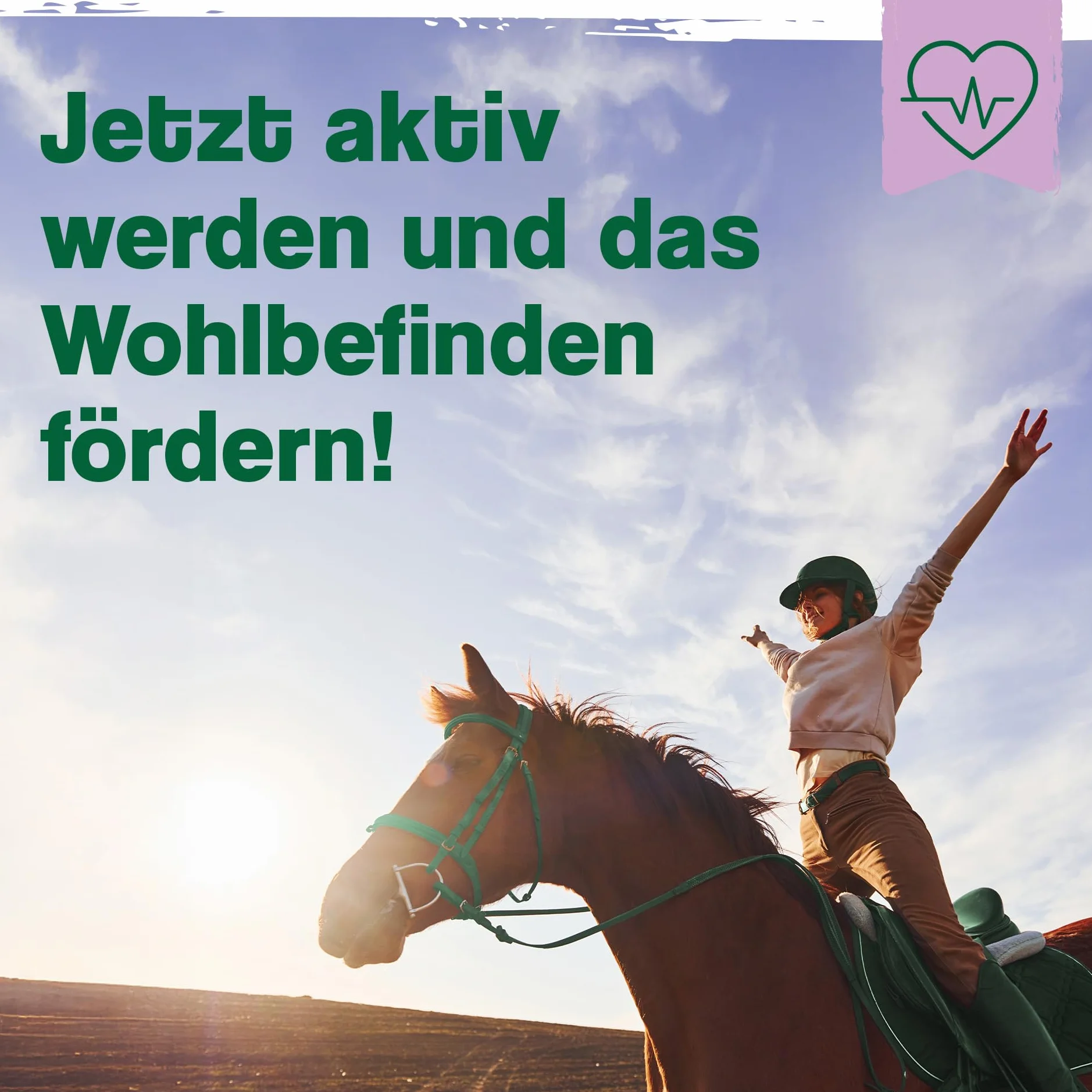 Ida Plus Lievito di birra Bt 6 kg Integratore alimentare per cavalli e pony pelo lucido pelle forte supporta digestione flora intestinale vitamine gruppo B