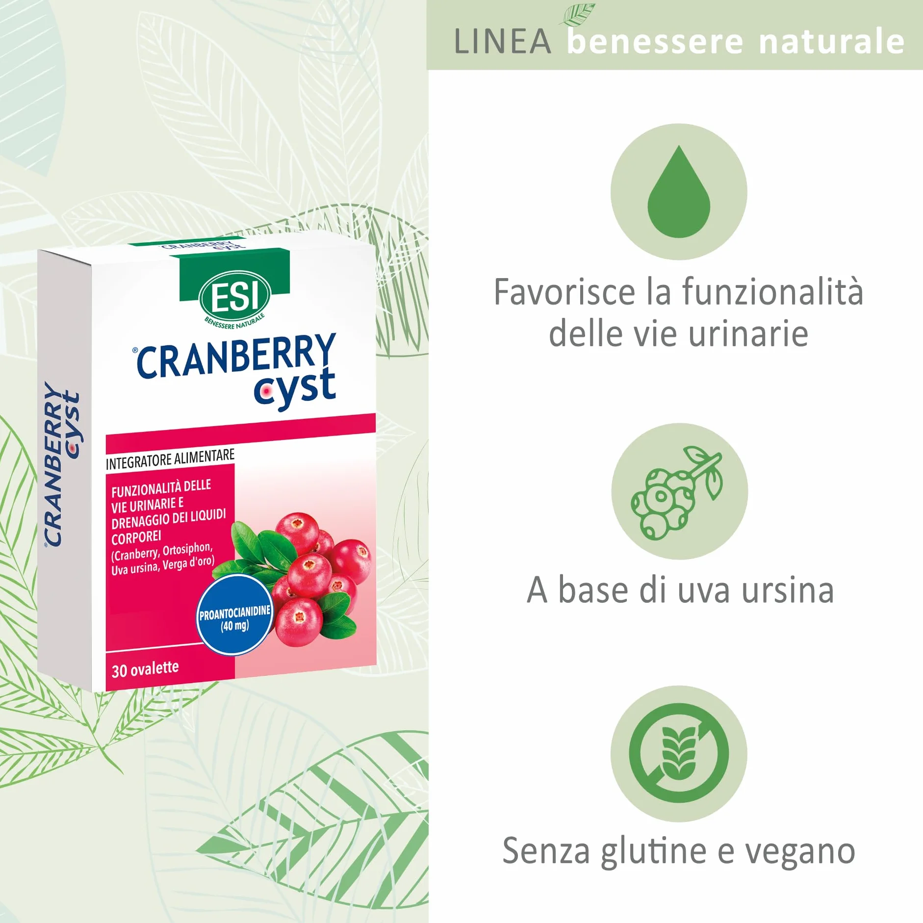 ESI Cranberry Cyst Integratore Alimentare Uva Ursina per Vie Urinarie Drenaggio 30 Ovalette