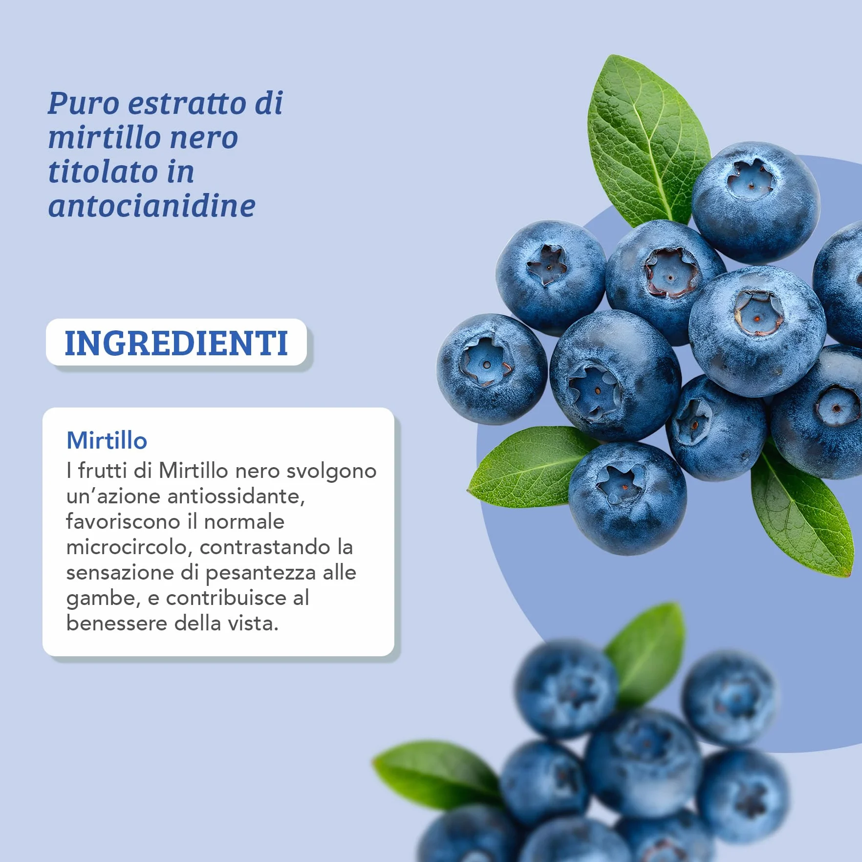 Colours of Life Mirtillo Puro Integratore Mirtillo Nero 60 Capsule Vegetali Benessere Vista
