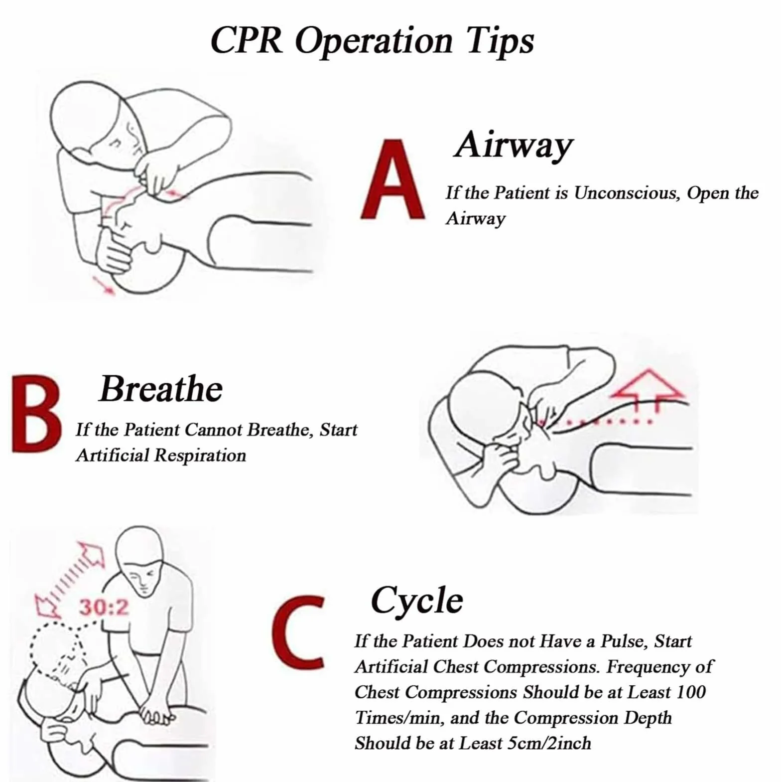 ELZEM Manichino RCP Adulti Mezzo Busto Gomma Addestramento Primo Soccorso Rianimazione Cardiopolmonare