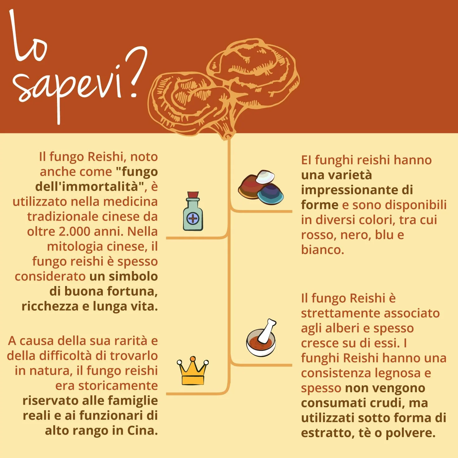 REISHI Vegavero | 27.300 mg (14:1) | con 40% Polisaccaridi + 20% Beta Glucani | Ganoderma Lucidum Puro | Analisi di Laboratorio | 120 capsule | Vegan