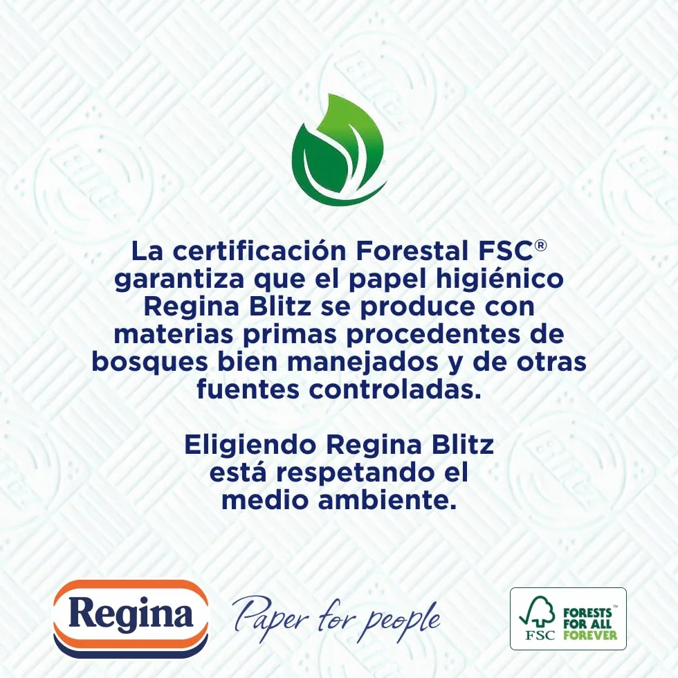 Regina Blitz - Carta da cucina | 5 rotoli | 100 fogli a 3 strati | Ideale per la pulizia delle superfici domestiche | senza pelucchi | Imballaggio in carta riciclabile | Carta 100% certificata FSC