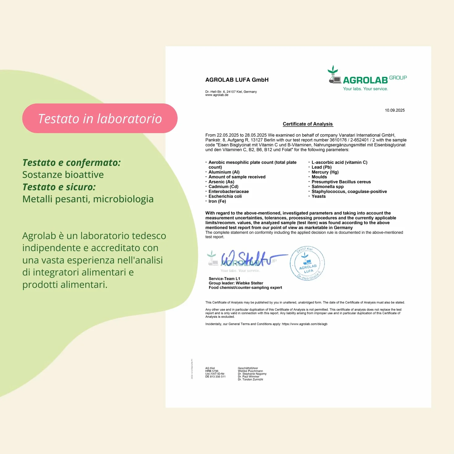 Integratore FERRO 30mg | con Vitamina C, Acido Folico, B12, B2, B6 | Anemia, Mestruazioni, Stanchezza, Difese Immunitarie | Senza Additivi | Vegan | Vegavero®