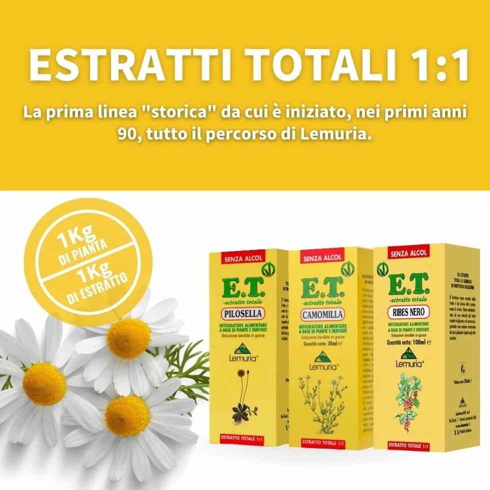 Lemuria - Sambuco - Per una Migliore Funzionalità delle Vie Respiratorie e per il Drenaggio dei Liquidi - Estratto Totale 1:1-30 ml - Made in Italy