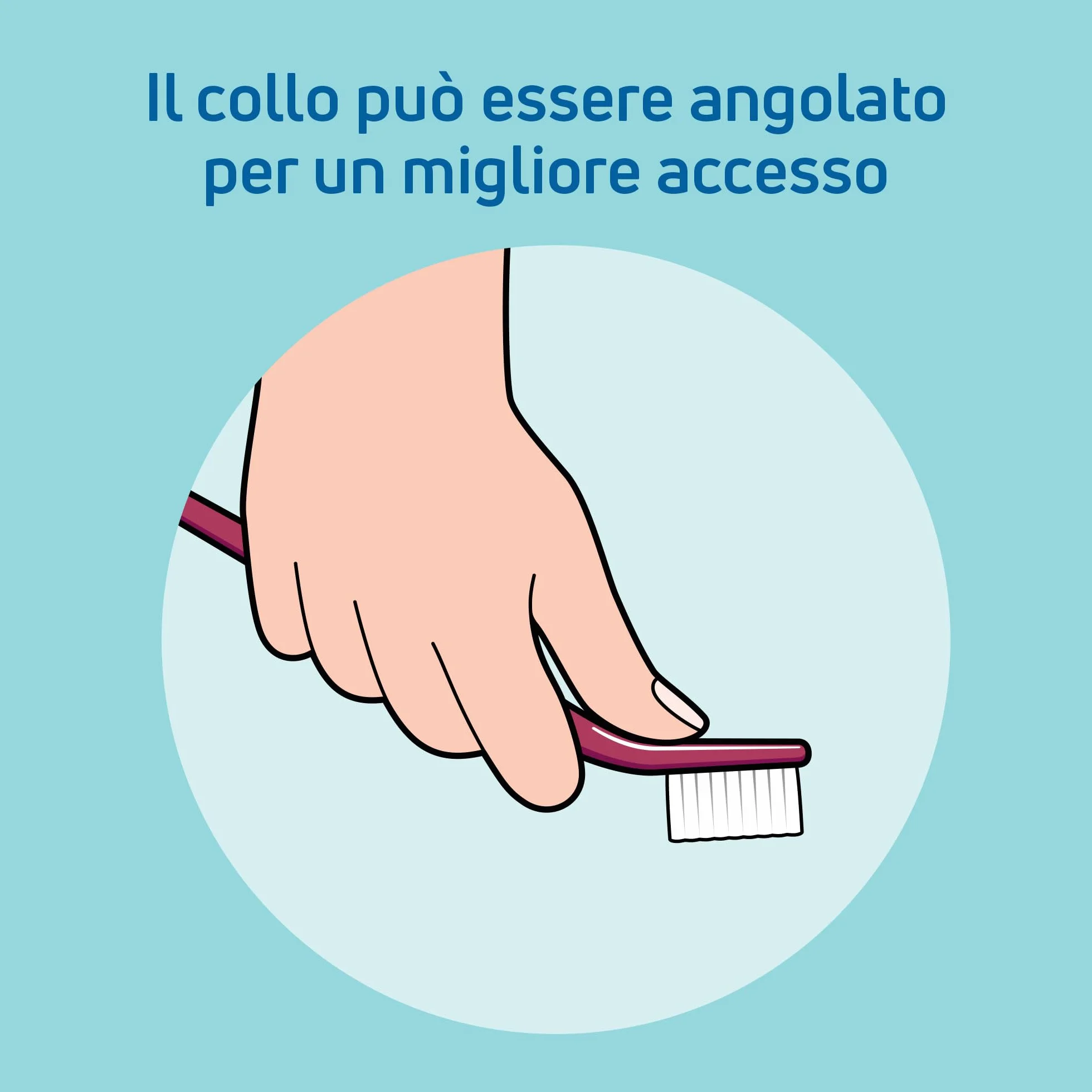 TePe Interspace Soft 1 manico 12 testine intercambiabili
