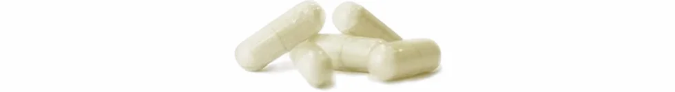 BOSWELLIA * 370 mg / 90 capsule * Titolato all’65% in acido boswellico