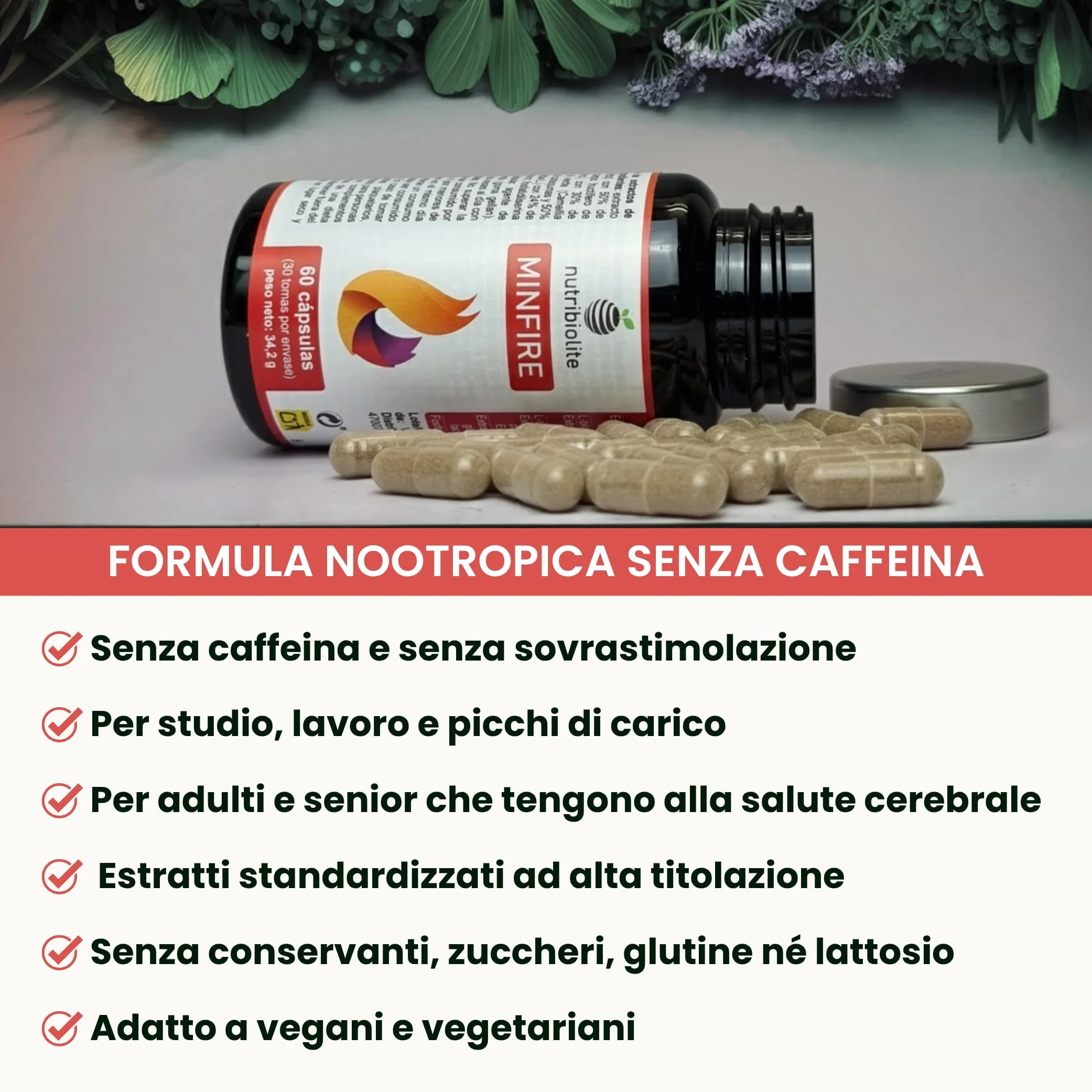 Nootropico naturale senza caffeina - Bacopa, Criniera di Leone, Colina, Ginkgo, Tè verde, Fosfatidilserina – Memoria, Concentrazione e Affaticamento Mentale - Senza additivi - Minfire Nutribiolite