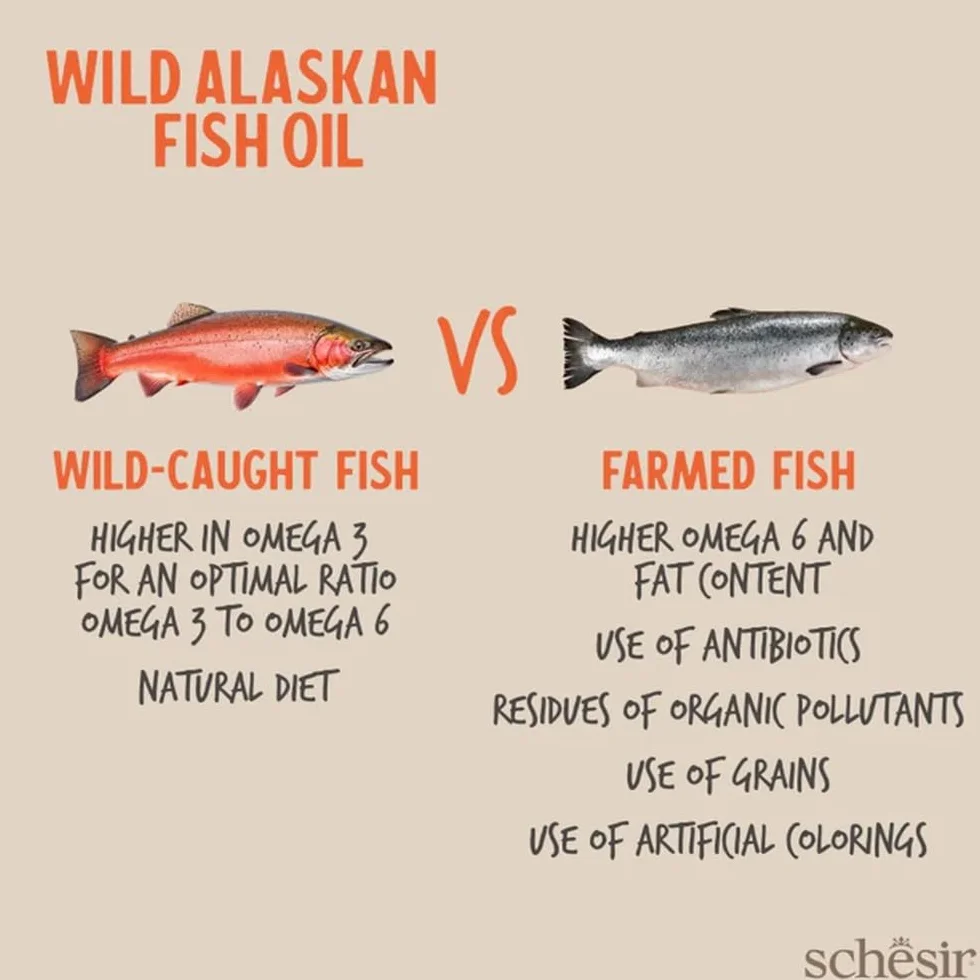 Schesir Olio di pesce selvatico dell'Alaska Grizzly 500 ml