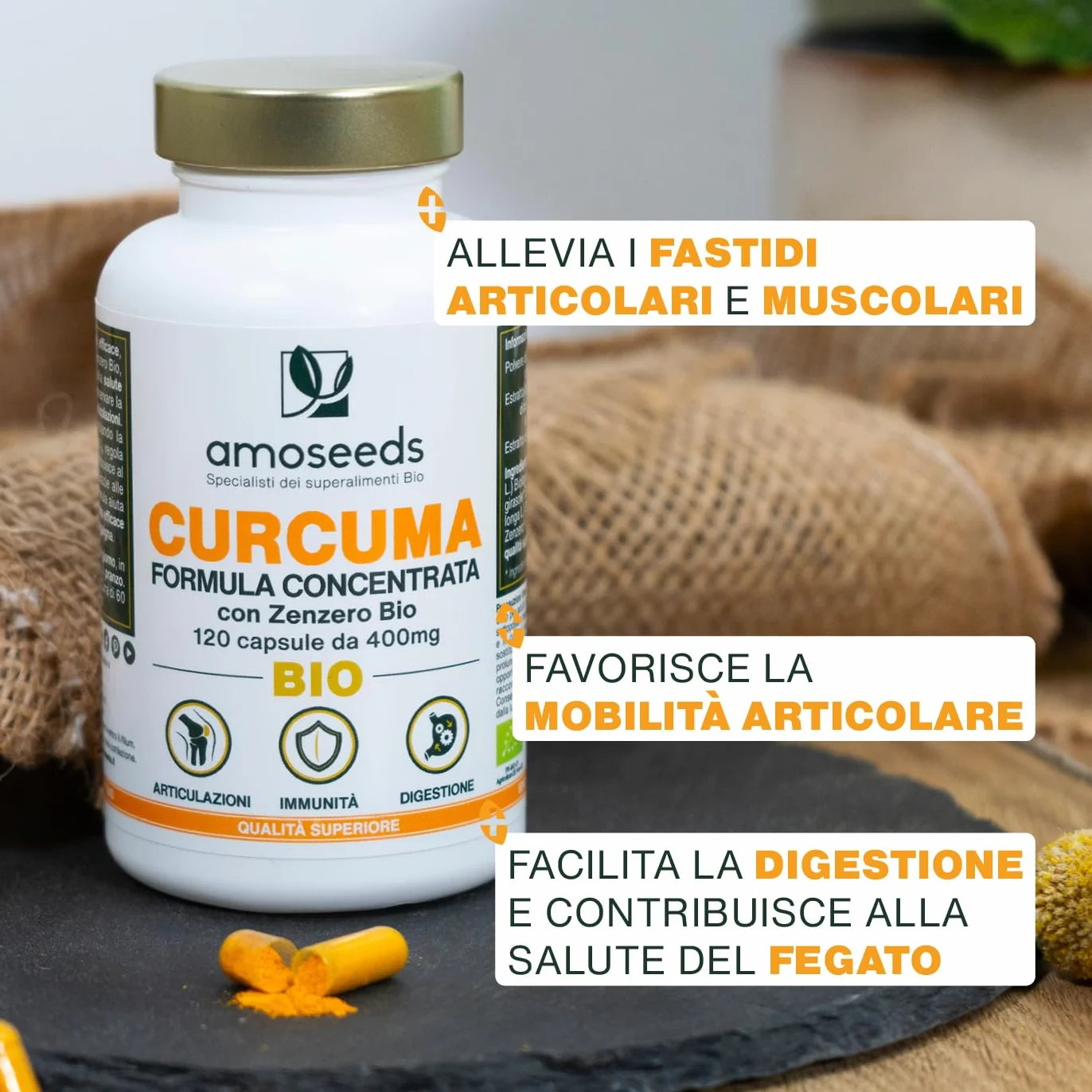 Curcuma BIO con Zenzero 95% curcuminoidi 120 capsule Alta concentrazione
