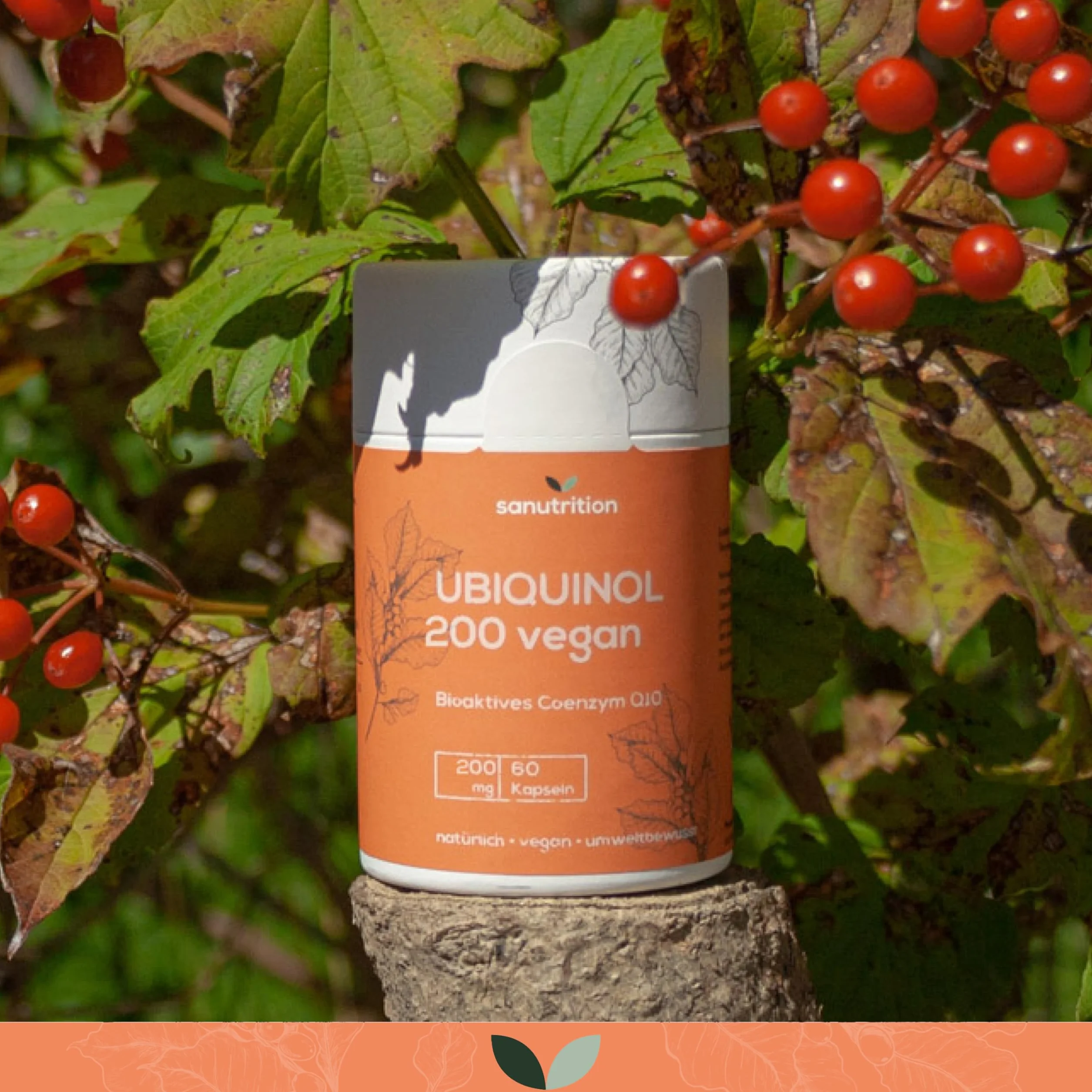 Ubiquinolo 200 mg | 60 capsule | Coenzima Q10 bioattivo | vegano | Imballaggio in carta ecologica al 100%