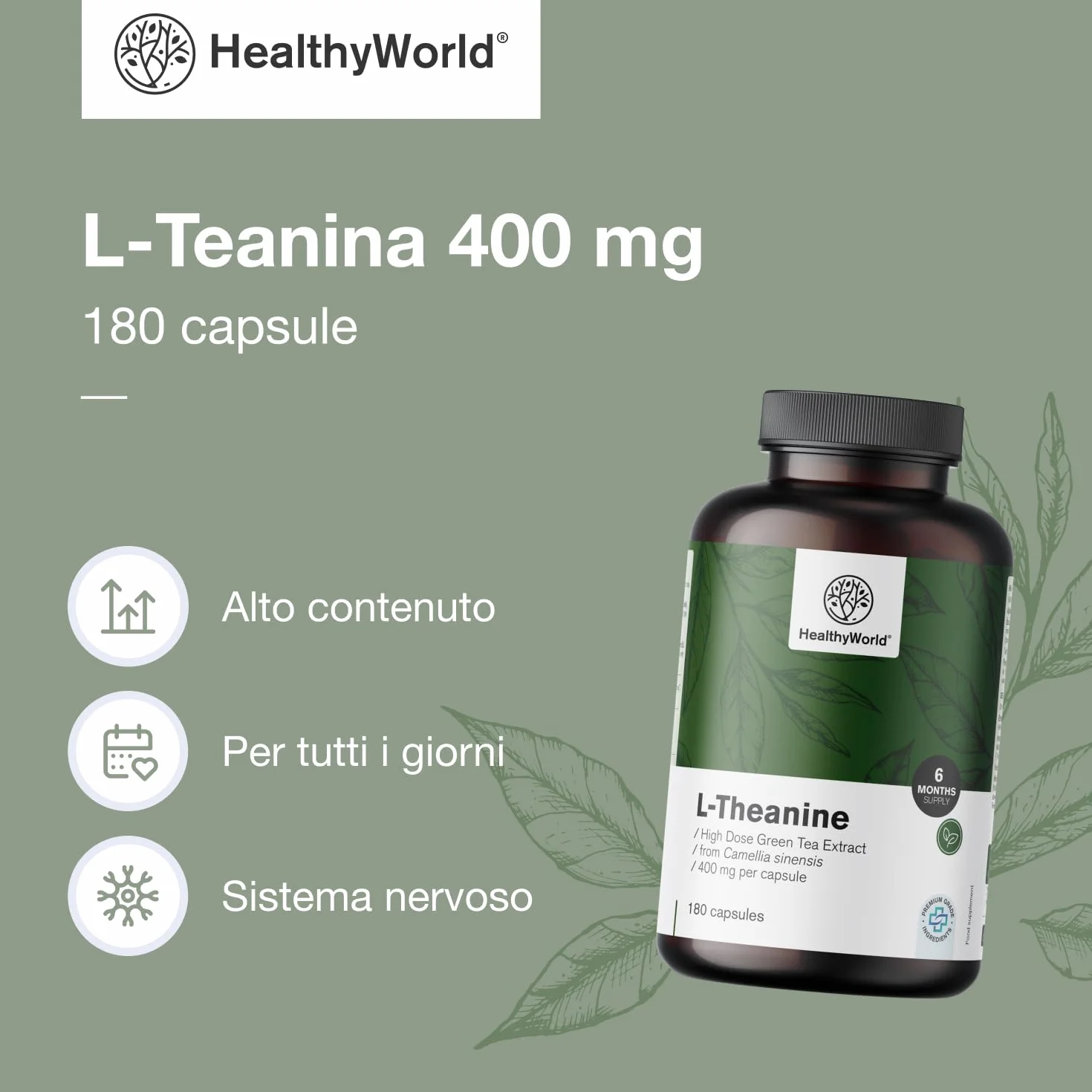HealthyWorld L-Teanina 400 mg - 180 Capsule - Estratto di tè verde - Alta concentrazione - Aminoacido efficace - Supporto naturale per l'organismo - Vegetariano e non OGM