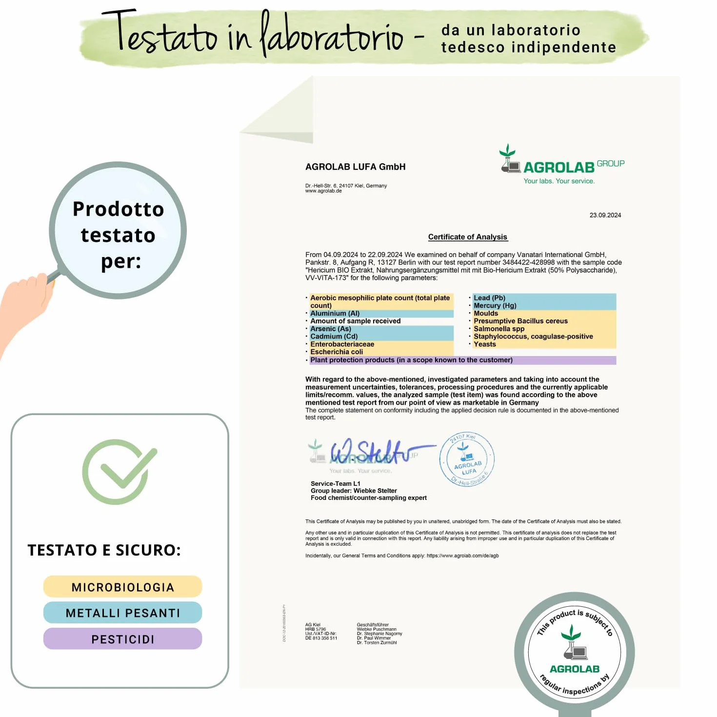 Hericium Erinaceum BIO | 50% di Polisaccaridi | Lions Mane Mushroom Biologico | Testato in Laboratorio | Sistema Immunitario | Vegano e Senza Additivi | Vegavero®