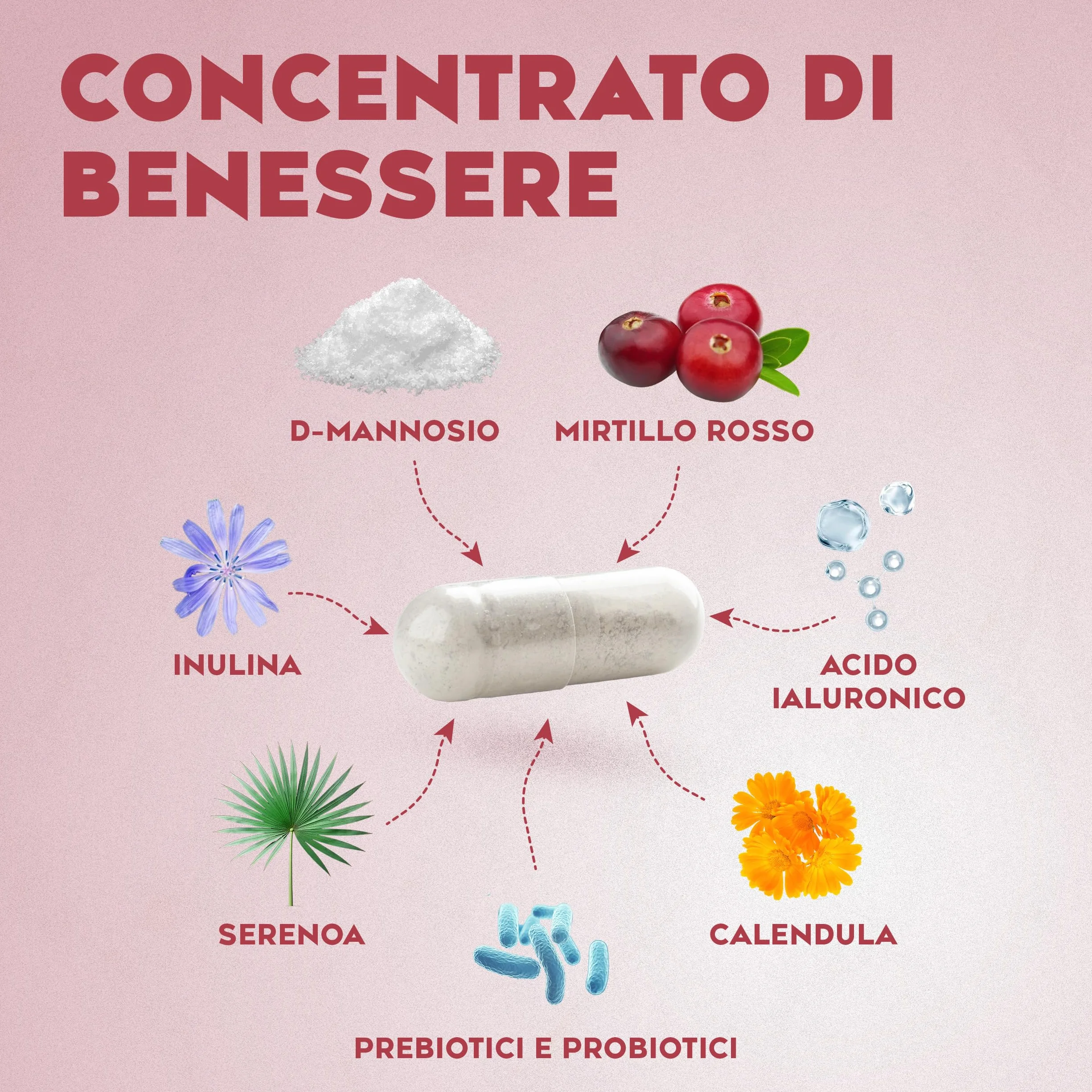 Cistyzen D-mannosio Mirtillo Rosso 60 capsule Probiotici prebiotici Integratore naturale per Cistite infezioni vie urinarie Vaginosi Batterica