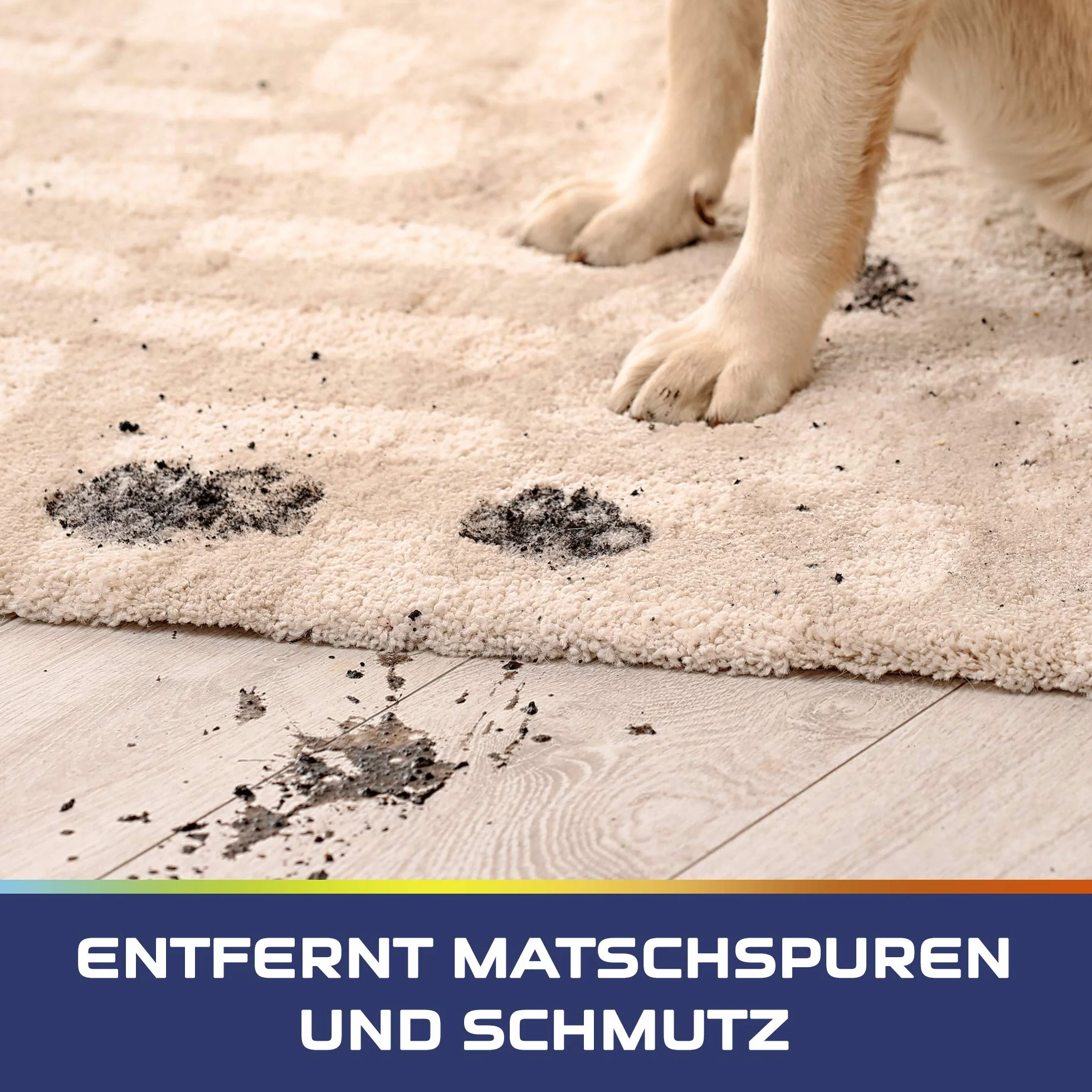 Vanish Pet Experte Detergente per tappeti e tappezzeria – 1 x 750 g – Polvere per la cura di vari tessuti e tappezzeria, ideale per grandi superfici – contro sporco, peli di animali domestici e odori
