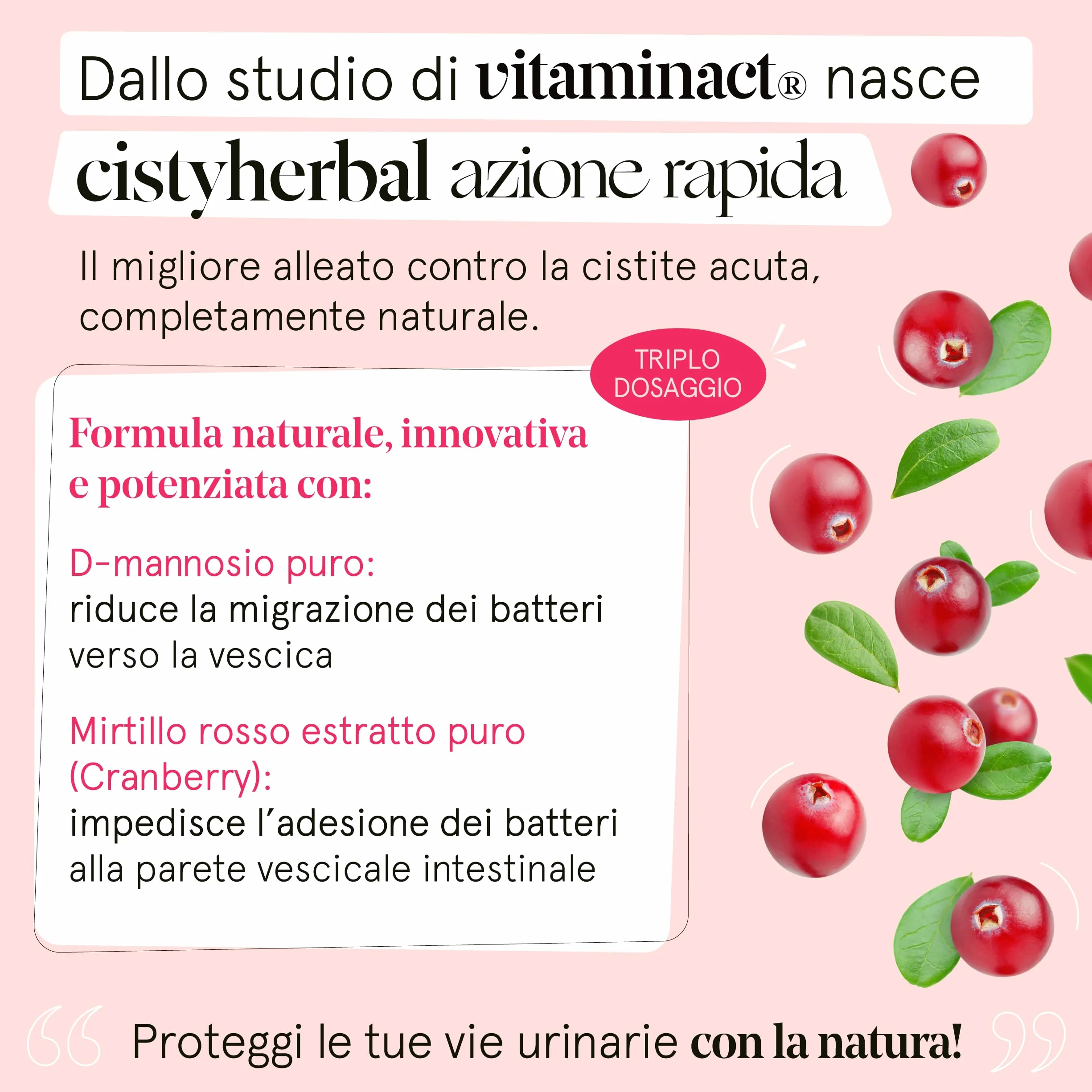 Integratore per Cistite Acuta, Candida e Infezioni delle Vie Urinarie con D mannosio Puro e Mirtillo Rosso