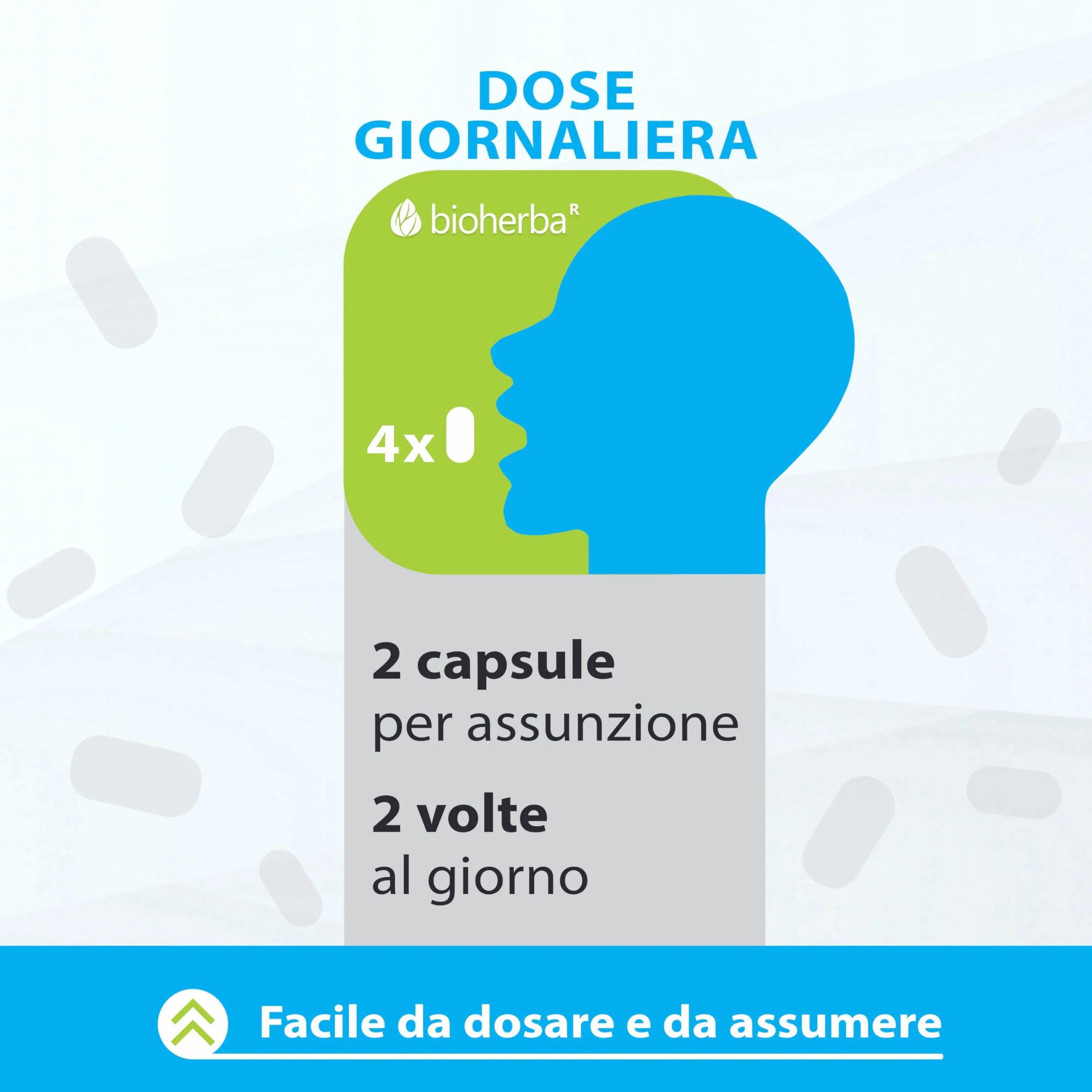L-Carnitina 350 mg Capsule - 100 Capsule di BIOHERBA - Efficaci e ideali per una silhouette snella