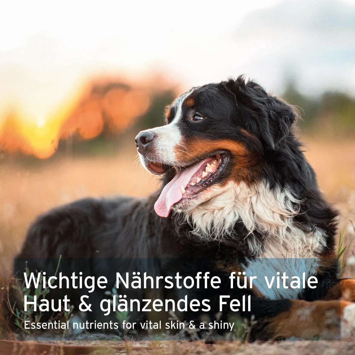 AniForte Lievito di birra per cani 500 Tabs - prodotto naturale per pelo lucido e pelle vitale