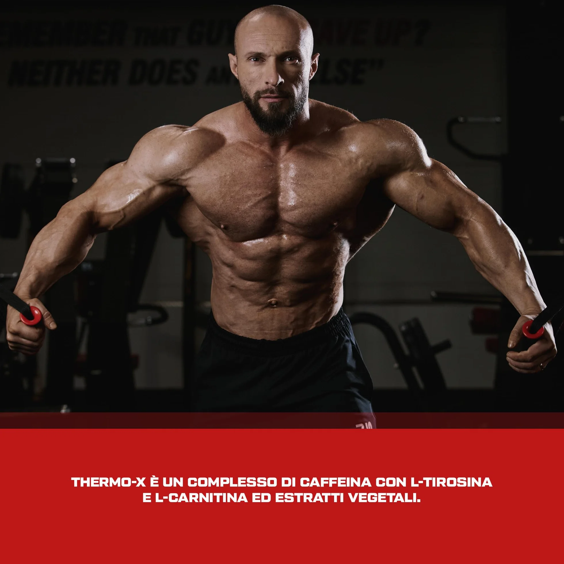 Scitec Nutrition Thermo-X, con L-Tirosina, L-Carnitina, HCA, Caffeina e Forskolina, 100 Capsule