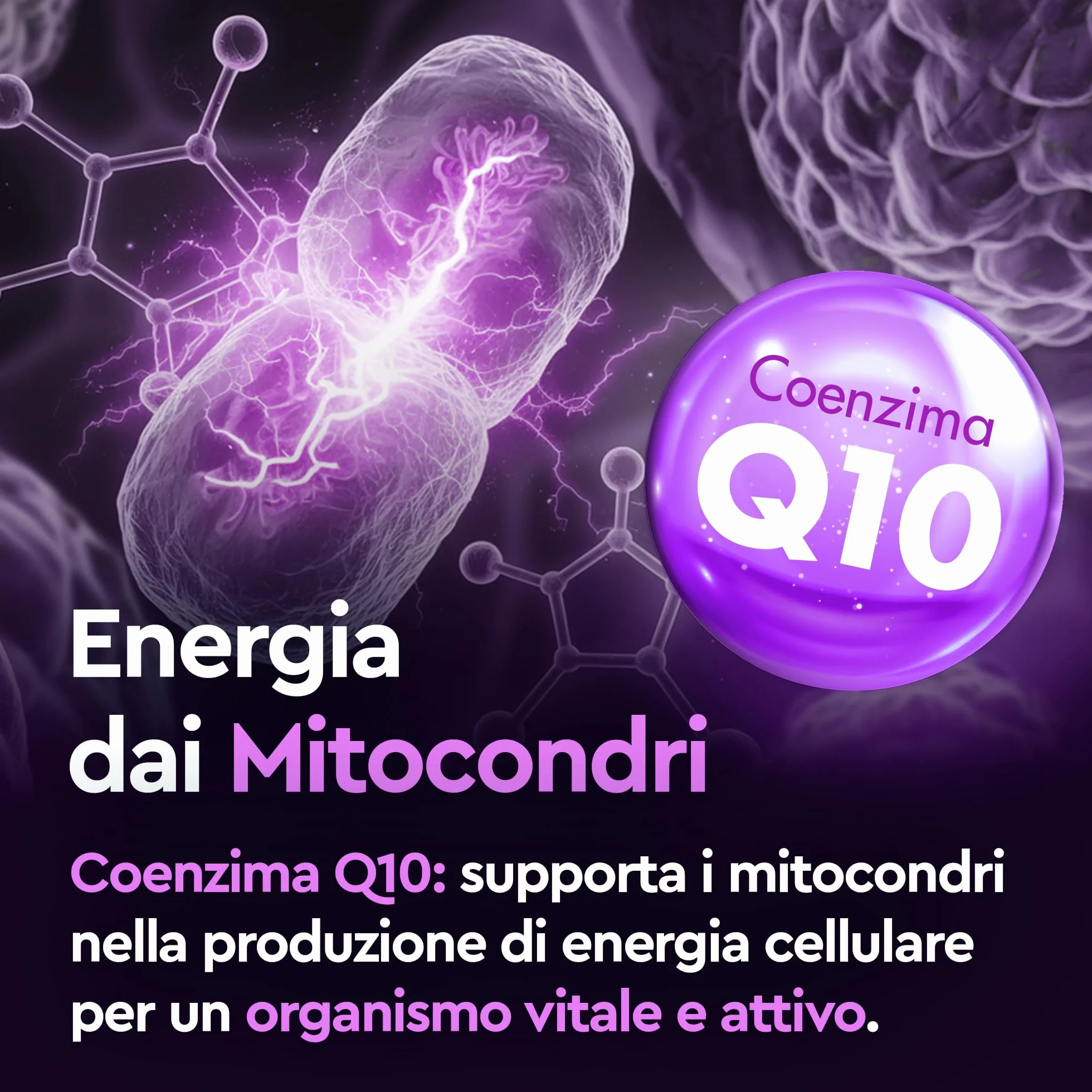 Graal Coenzima Q10 Migliore - Ubidecarenone (forma ossidata dell'Ubiquinolo) Naturale per Energia Cellulare, Azione Antiossidante, Contro l'Invecchiamento Cellulare e lo Stress Ossidativo