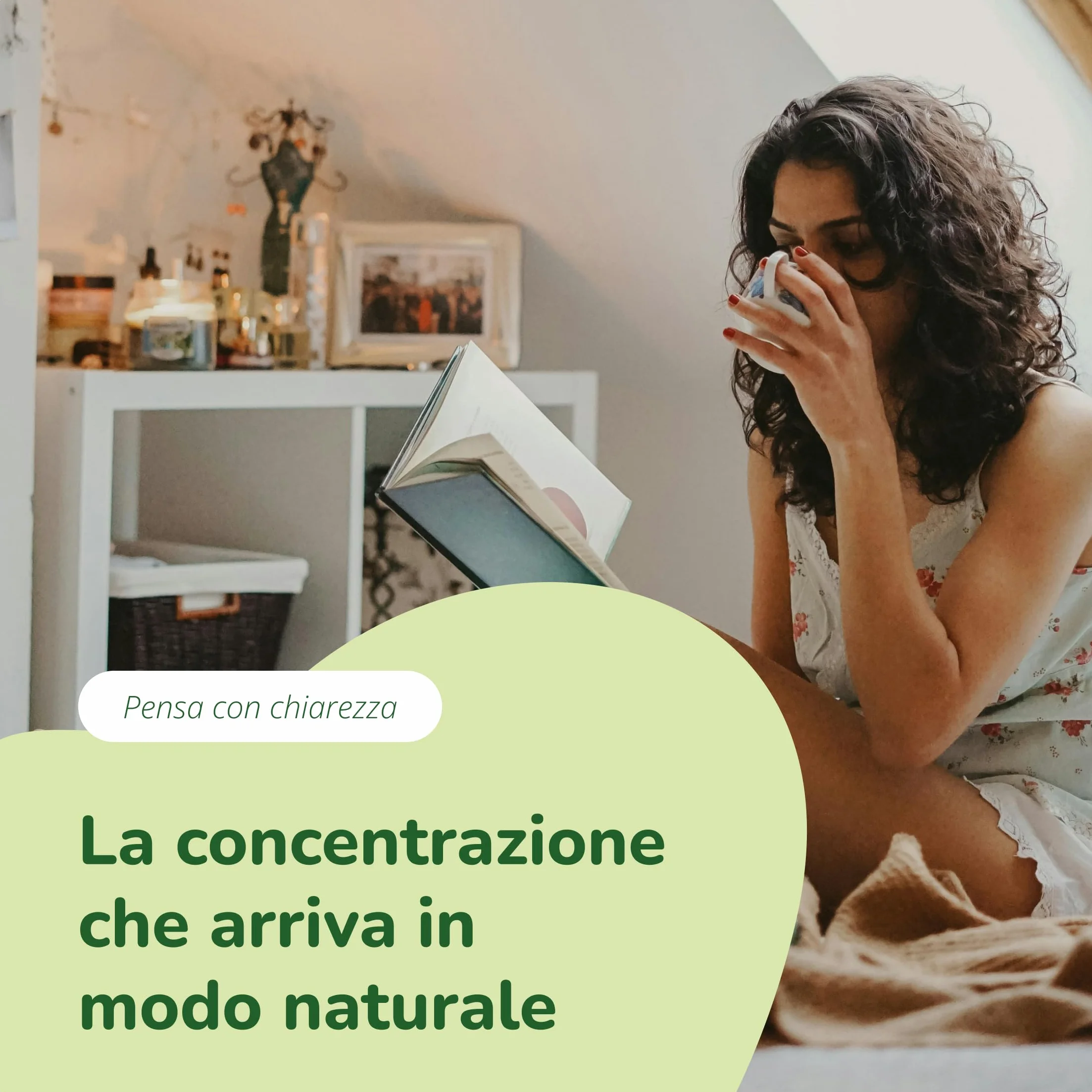Hericium Erinaceum BIO | 50% di Polisaccaridi | Lions Mane Mushroom Biologico | Testato in Laboratorio | Sistema Immunitario | Vegano e Senza Additivi | Vegavero®