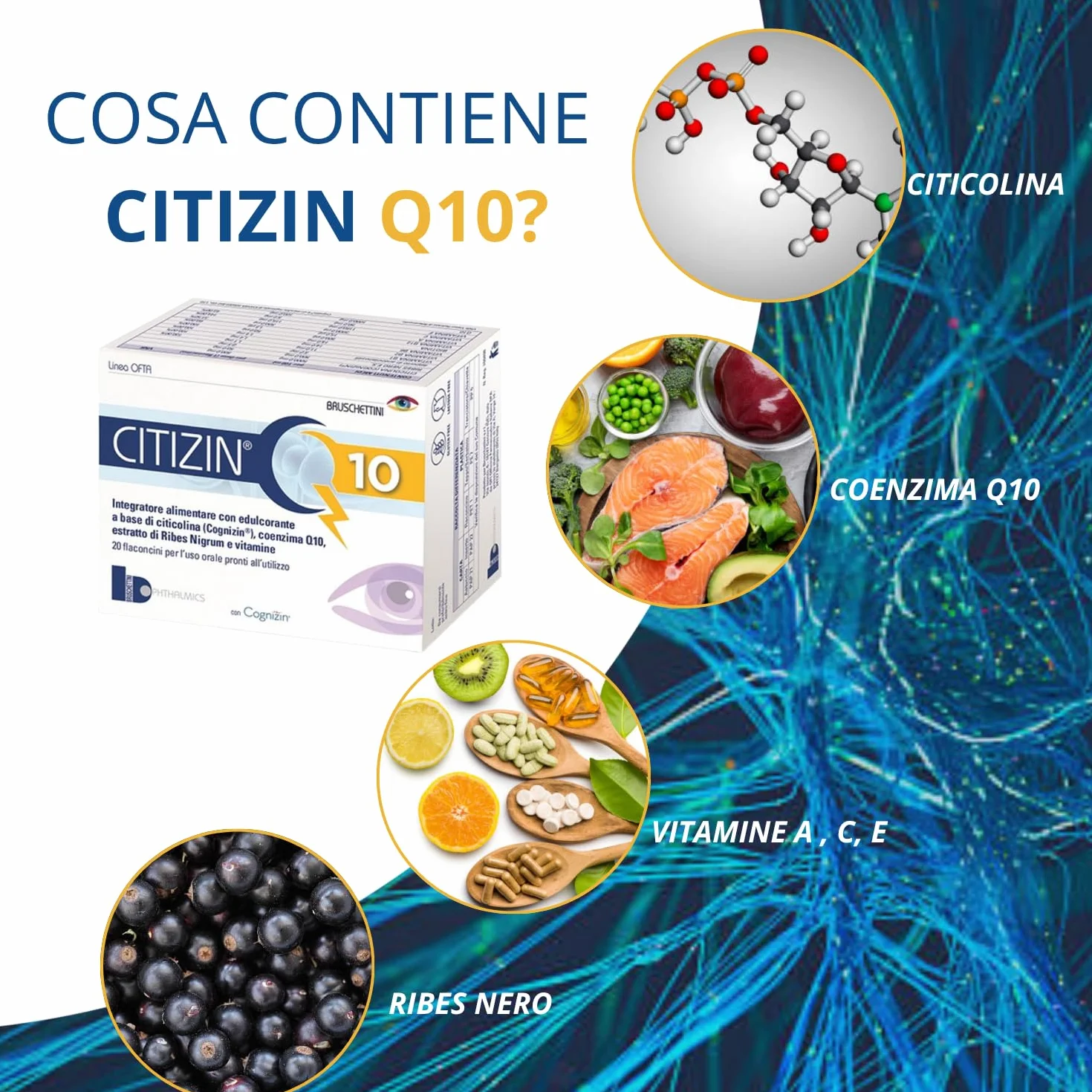 Q10 – 20 Flaconcini da 10 ml – Integratore Alimentare a base di Citicolina (Cognizin), Coenzima Q10, Vitamine A, C, E, Vitamine del gruppo B e Ribes nero