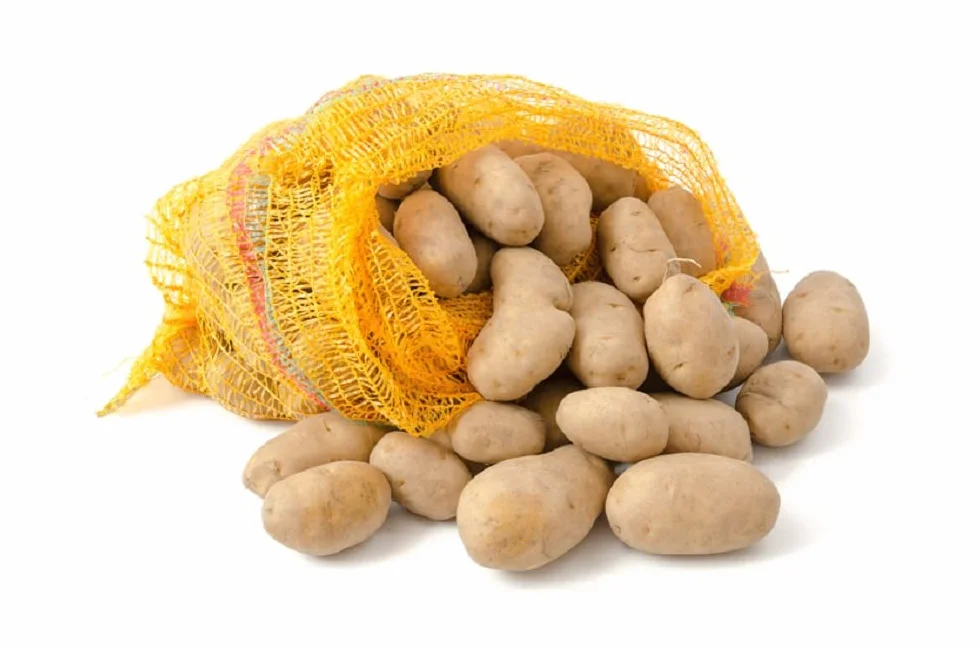 HaGa Sacchi Raschel 100 pezzi – 31 cm x 50 cm sacchetto per patate e cipolle
