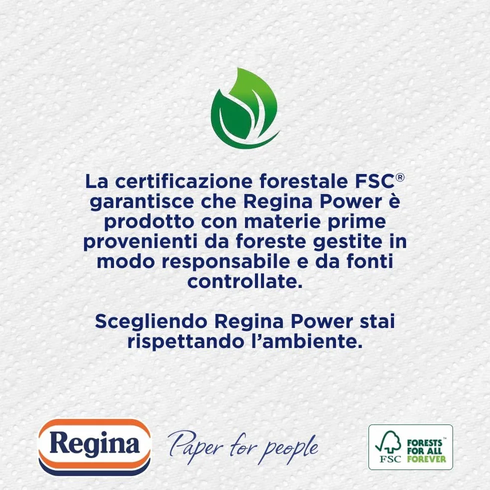 Regina Power Carta Multiuso 250 Fogli 2 Veli Pulizia Superfici FSC