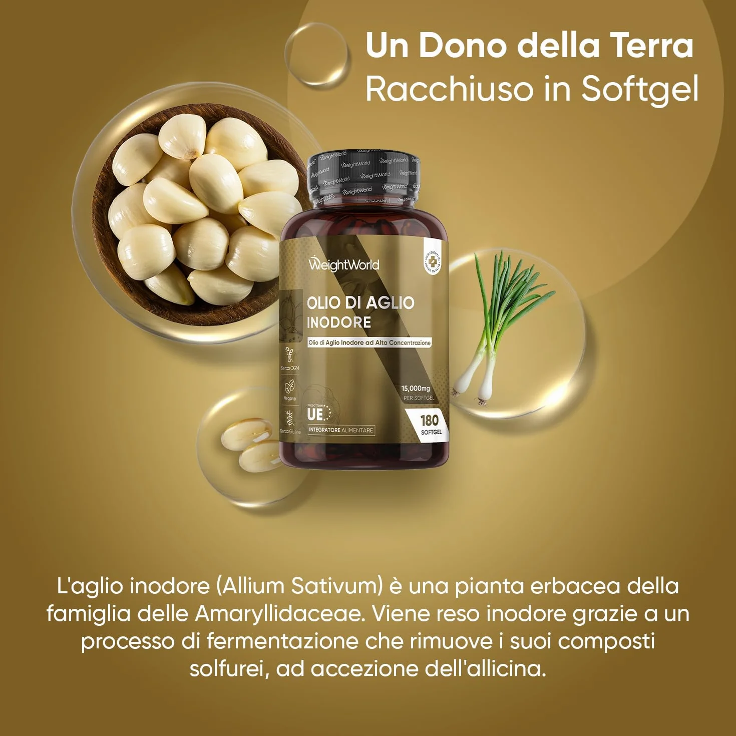 Aglio Capsule Molli Vegane 15000mg, 1 Softgel al Giorno (6 Mesi), Estratto di Aglio Inodore 500:1, Allicina Integratore Ricavato dall’Allium Sativum in 180 Softgel, Deodorizzato, Senza Glutine né OGM