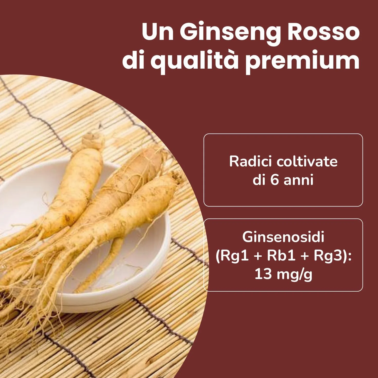 SAMSIDAE Ginseng Rosso Coreano Estratto Gold 50g Massima Concentrazione Ginsenósidi 13 mg/g Radici 6 Anni