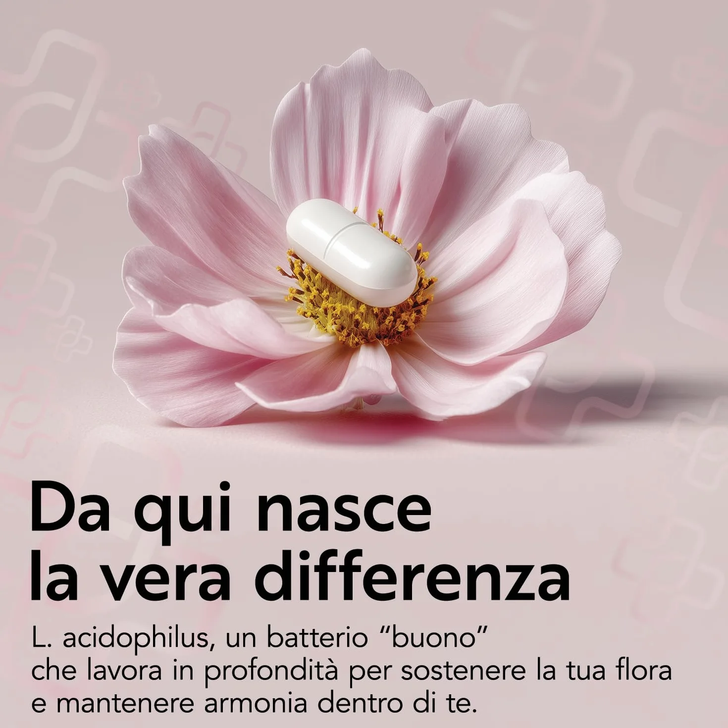 PiùLife D Mannosio 2000 mg con Cranberry e Fermenti Lattici Integratore Vie Urinarie 45 compresse