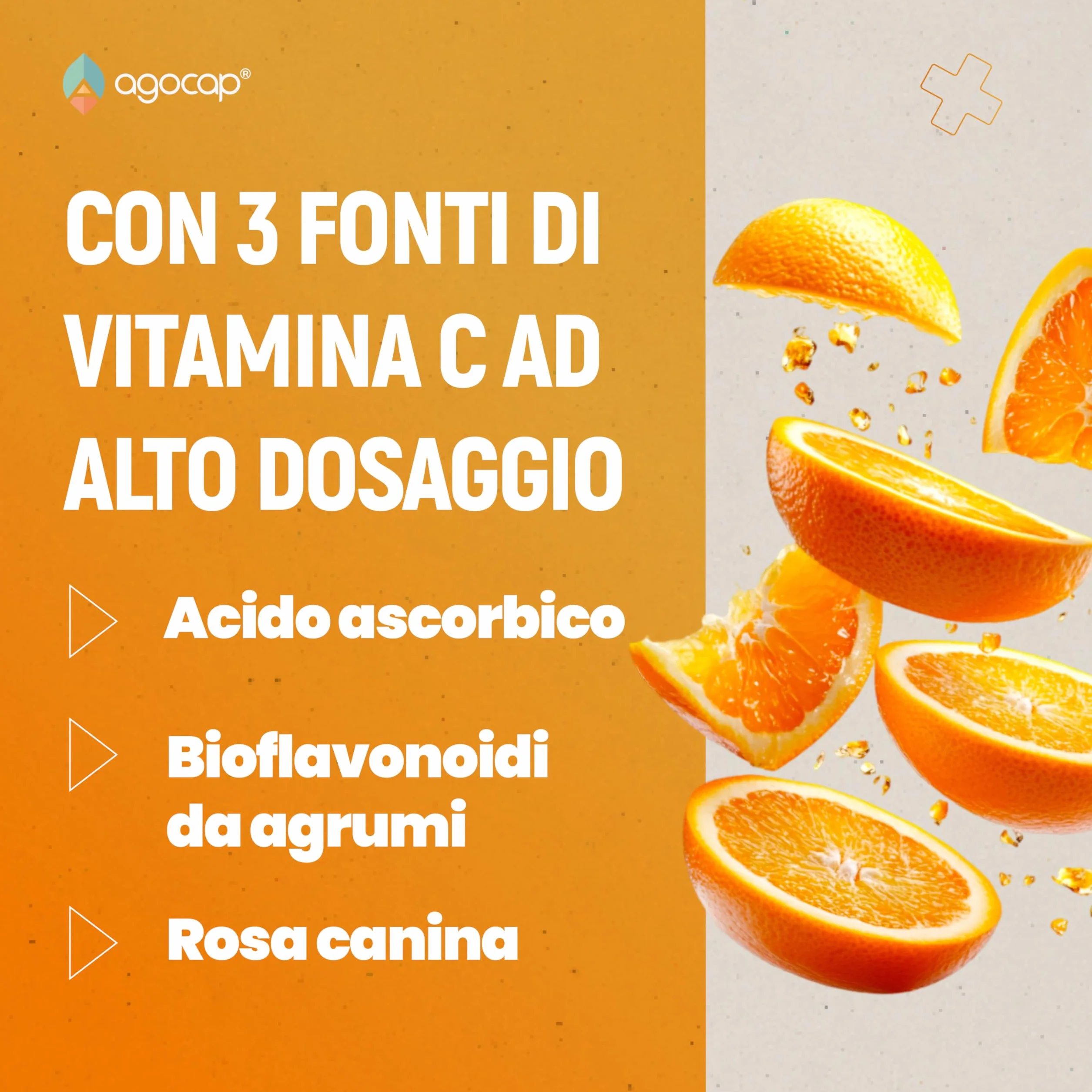 Vitamina C 1000mg Alto Assorbimento con Rosa Canina e Bioflavonoidi 160 cpr Vegana
